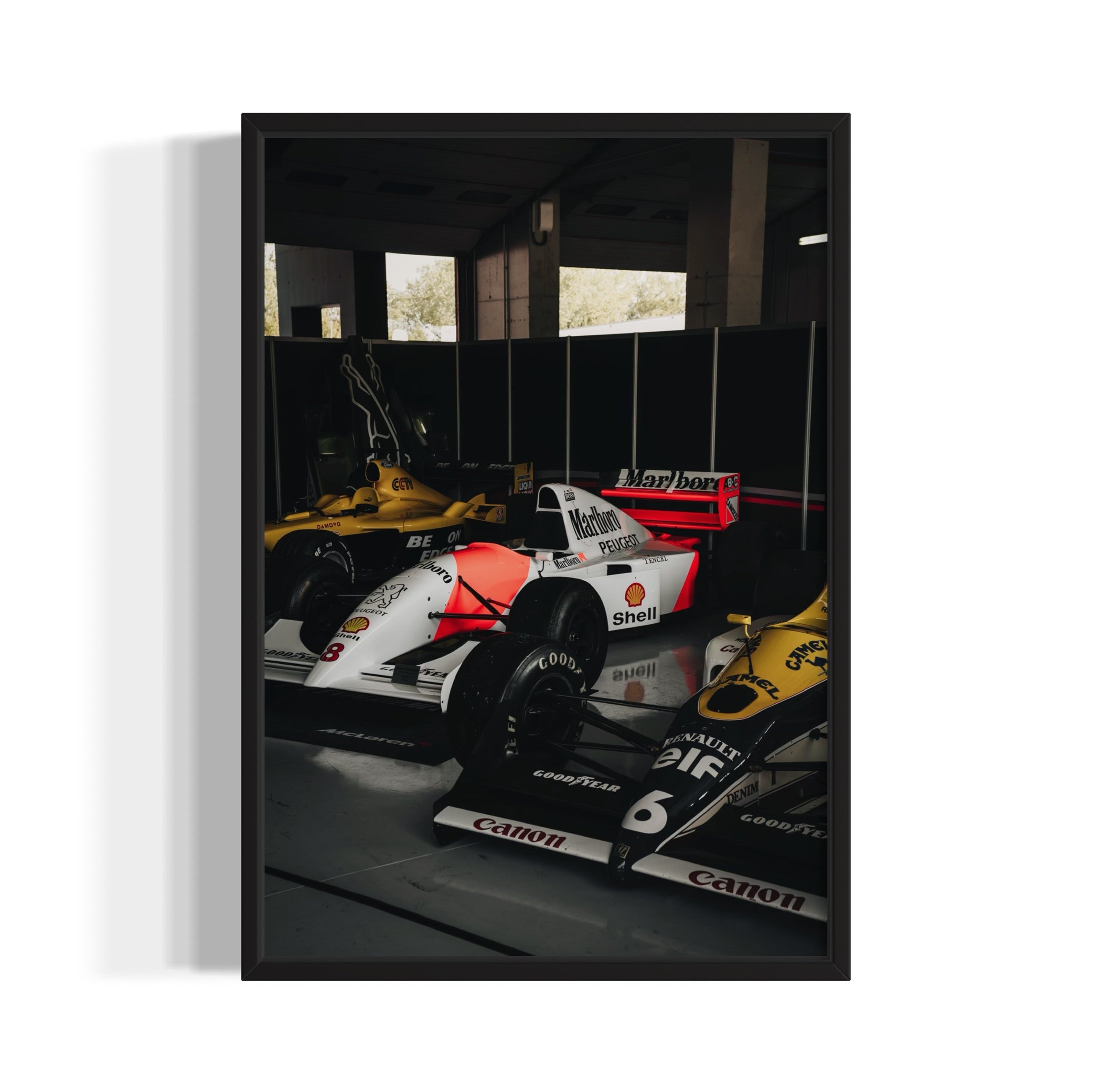 Old Ladies - Wall of Venus