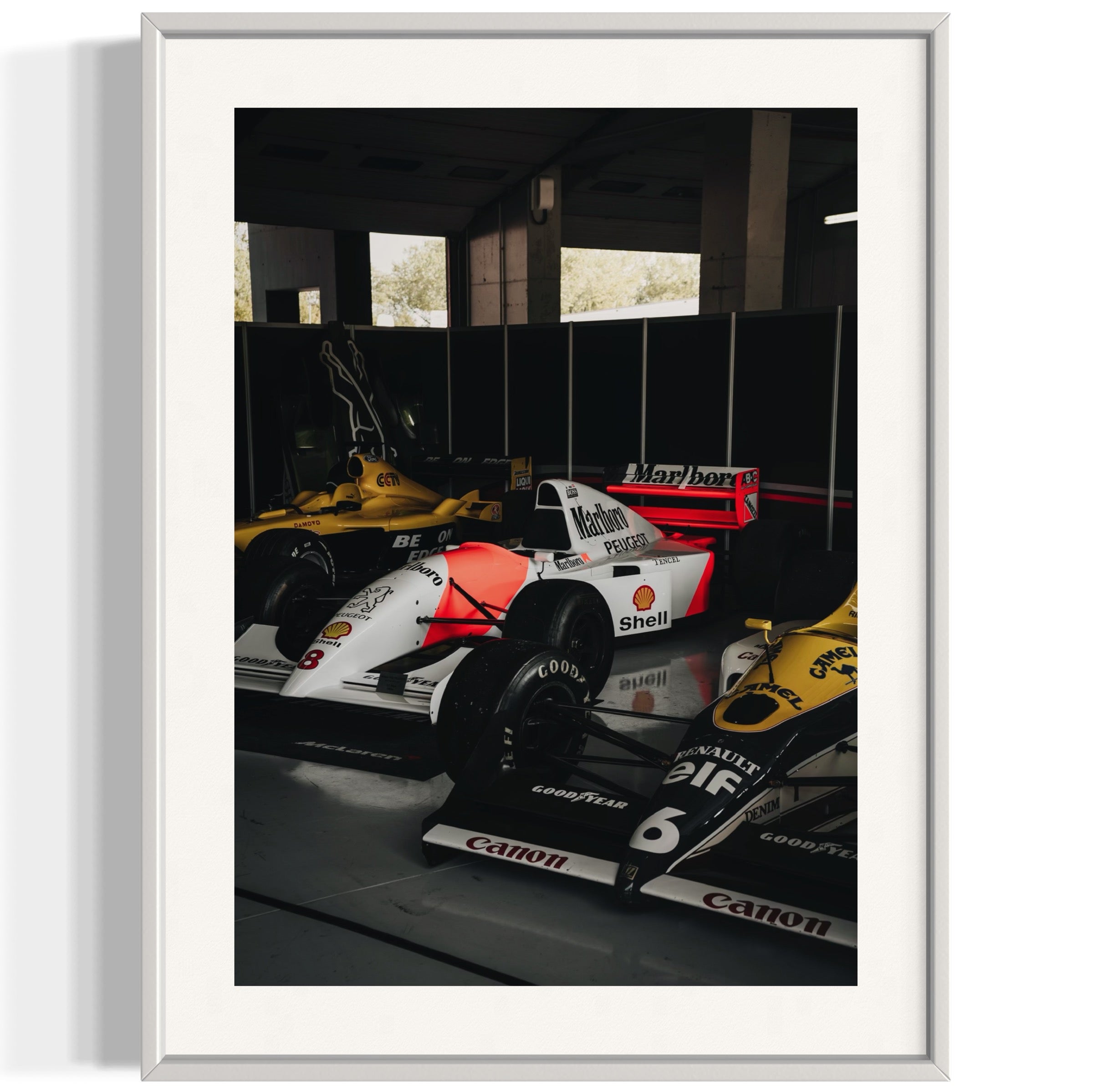 Old Ladies - Wall of Venus