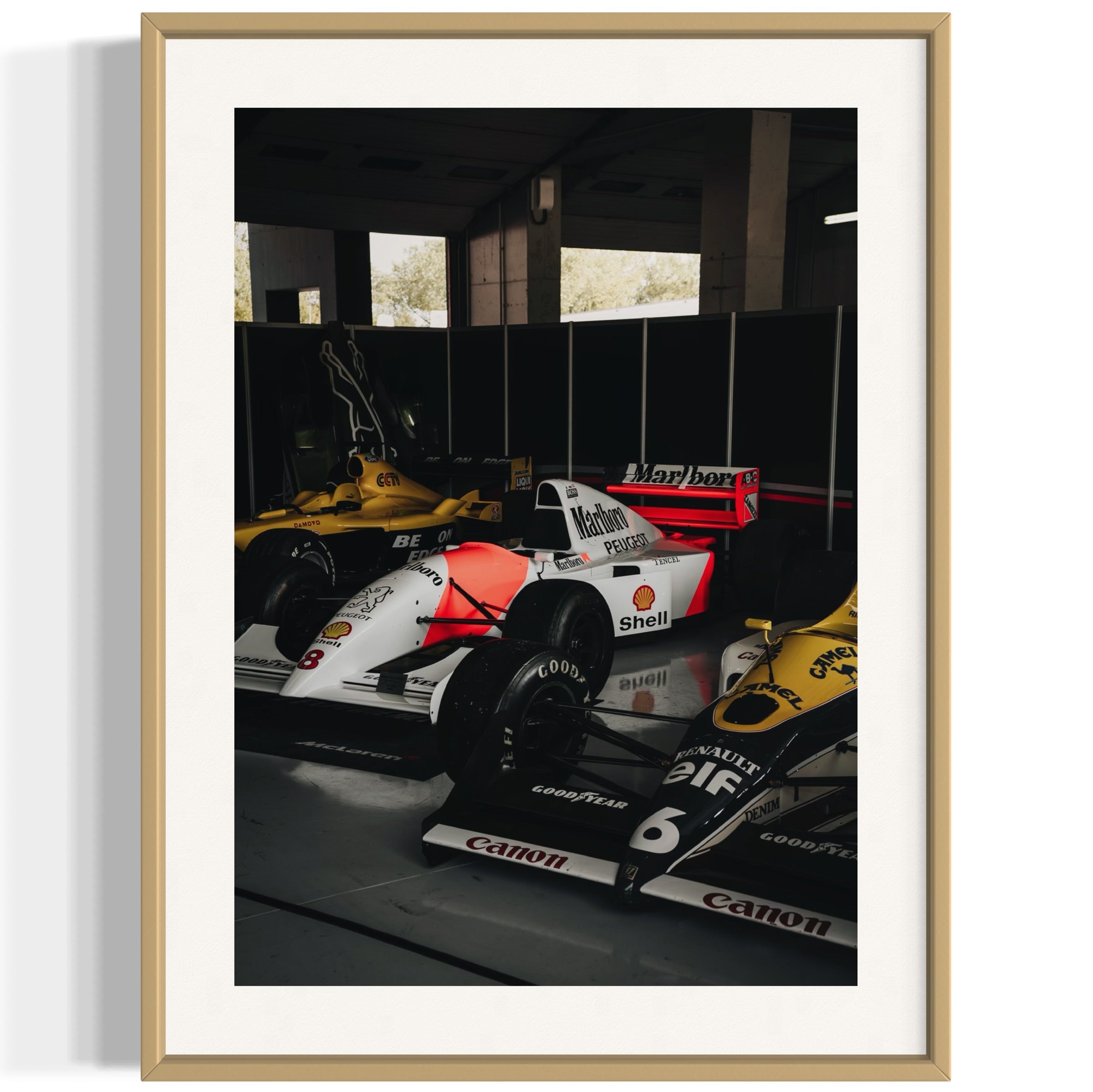 Old Ladies - Wall of Venus