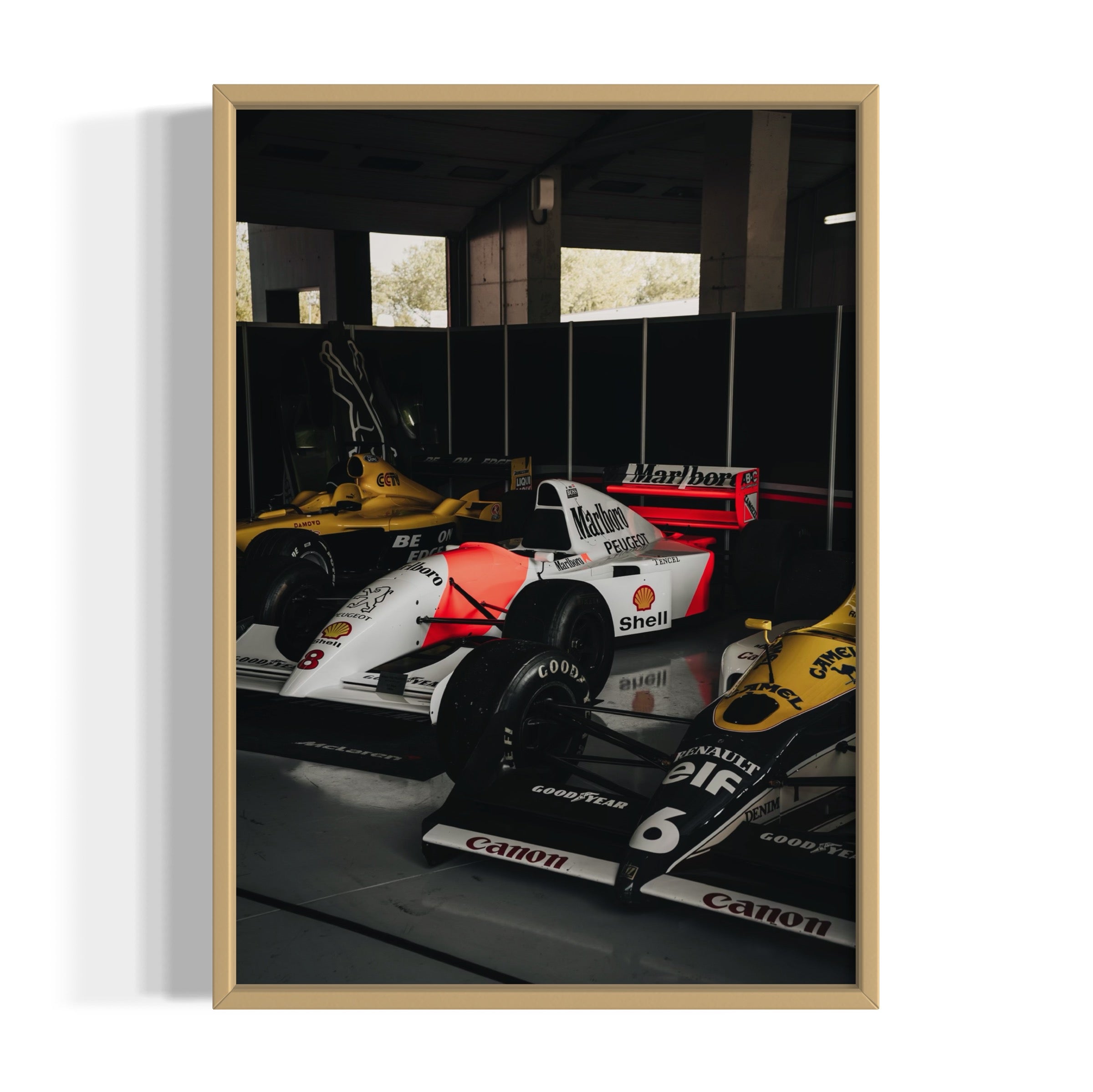 Old Ladies - Wall of Venus