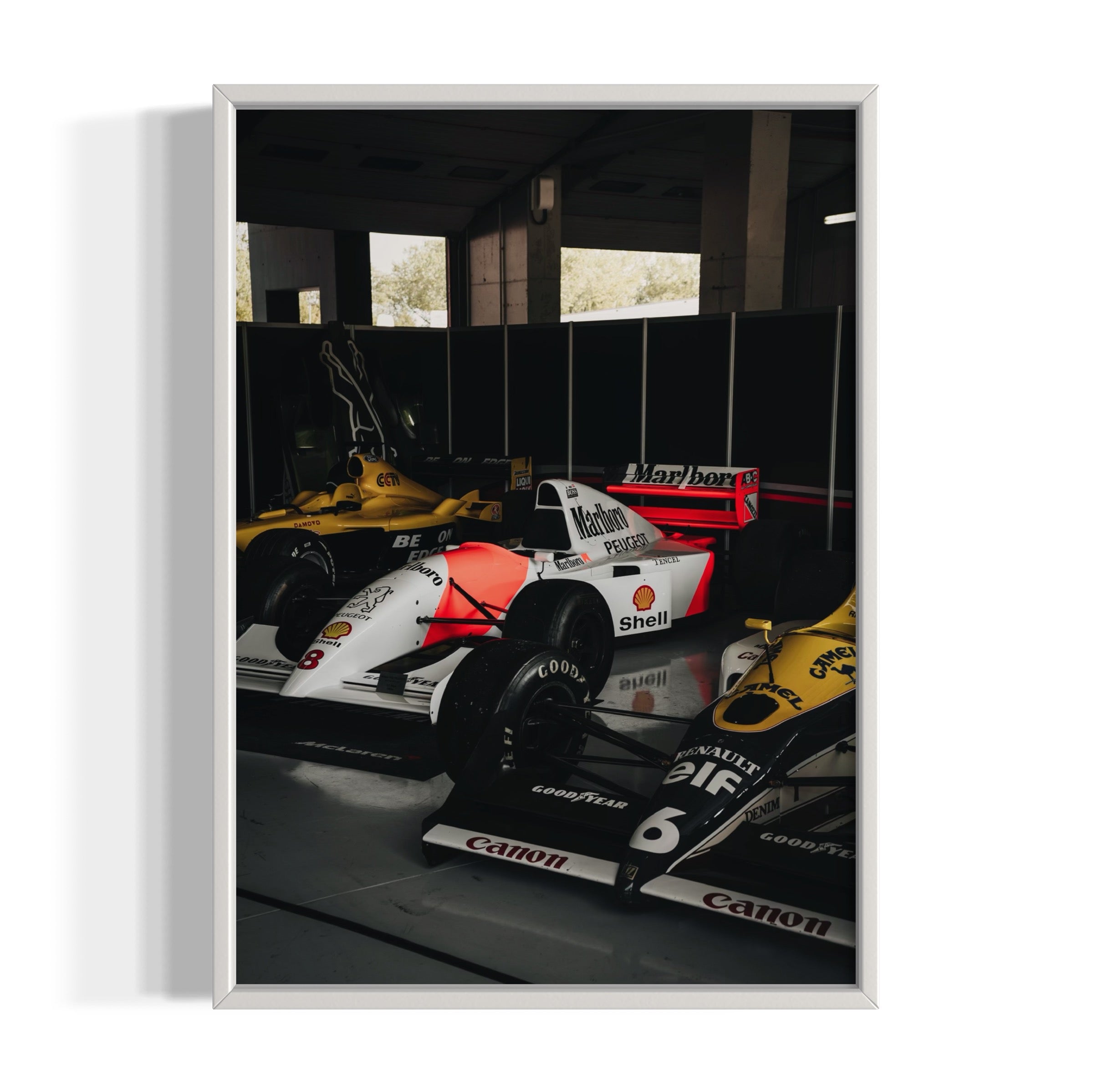 Old Ladies - Wall of Venus