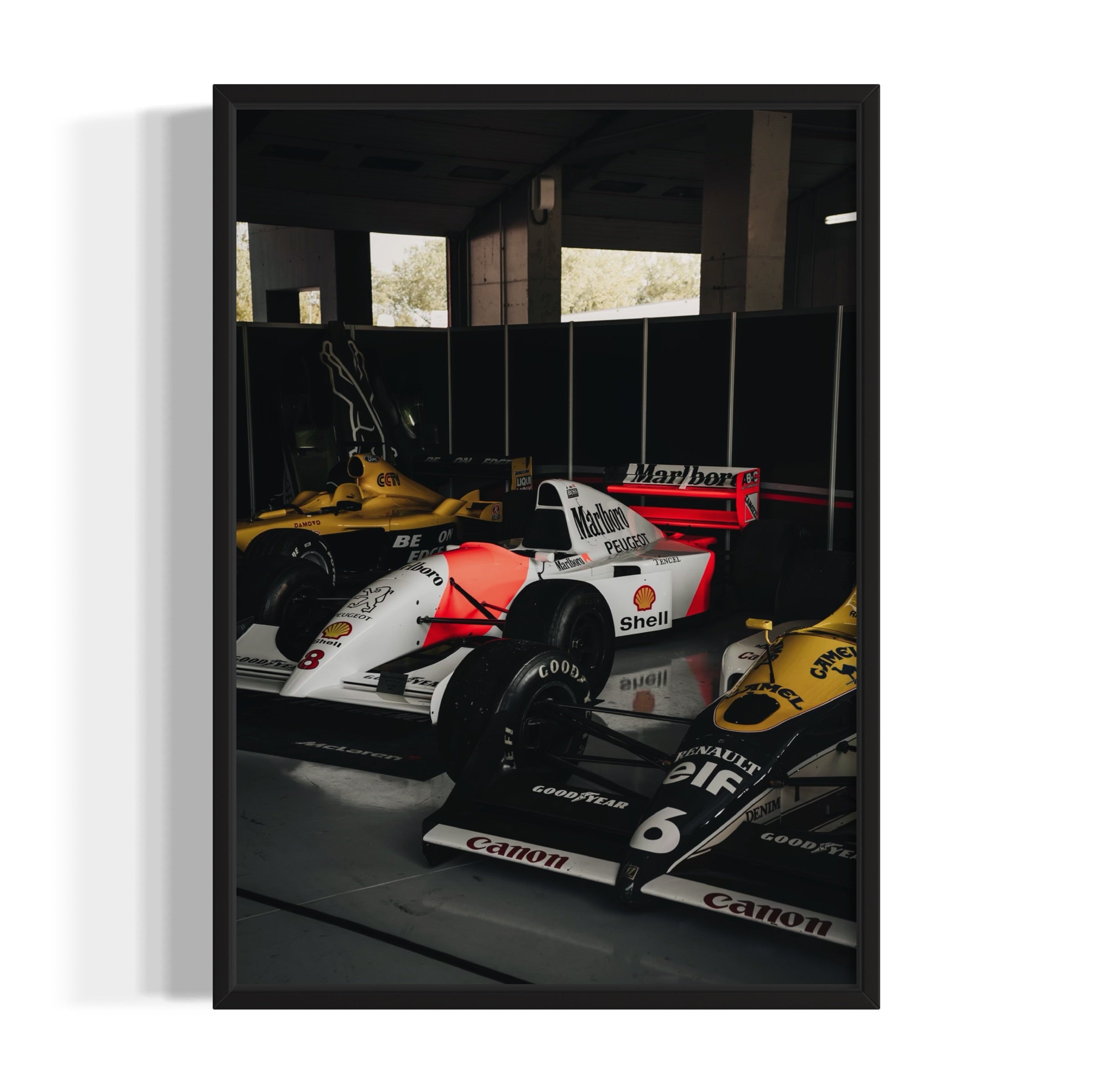 Old Ladies - Wall of Venus