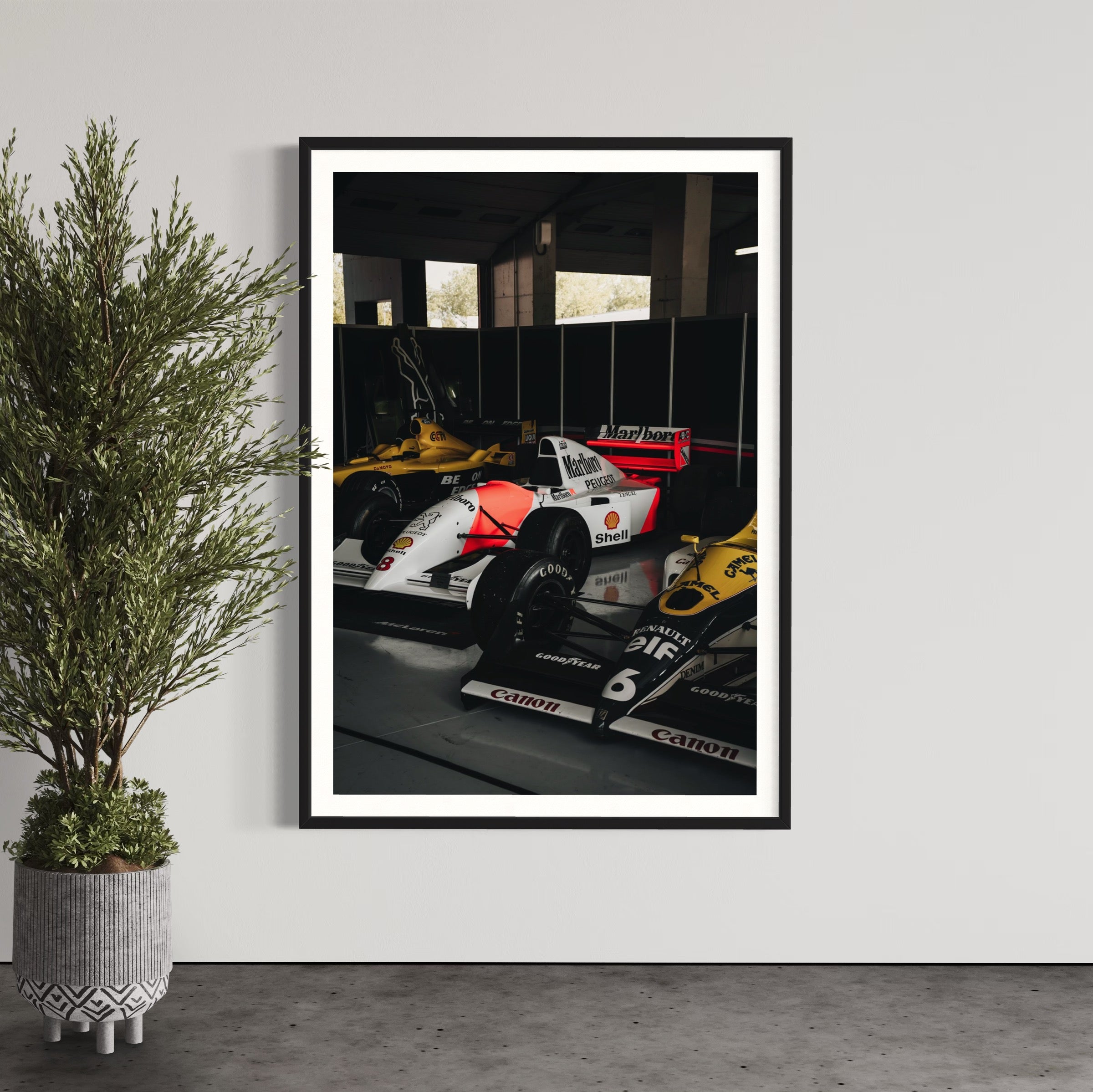 Old Ladies - Wall of Venus