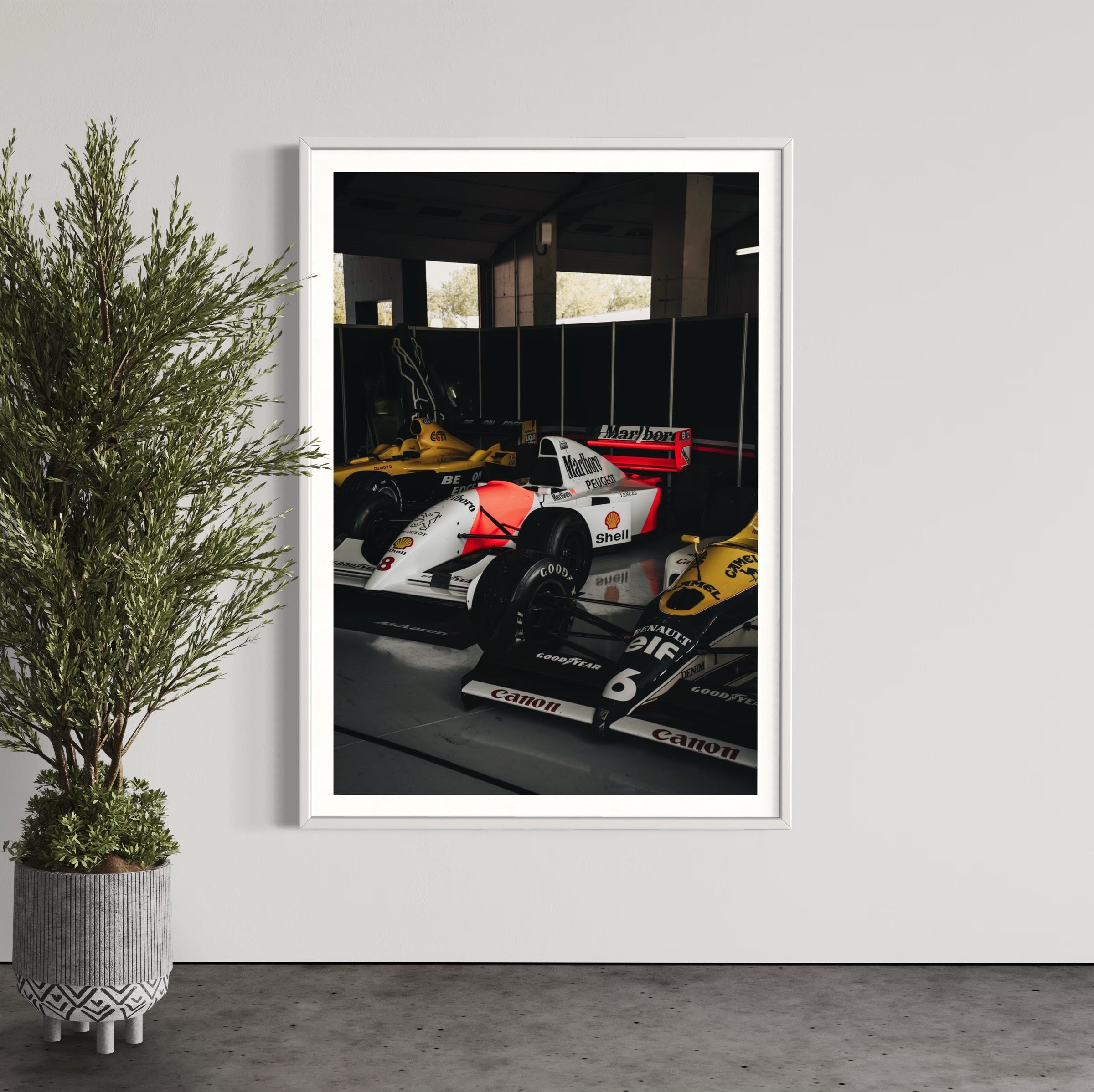 Old Ladies - Wall of Venus