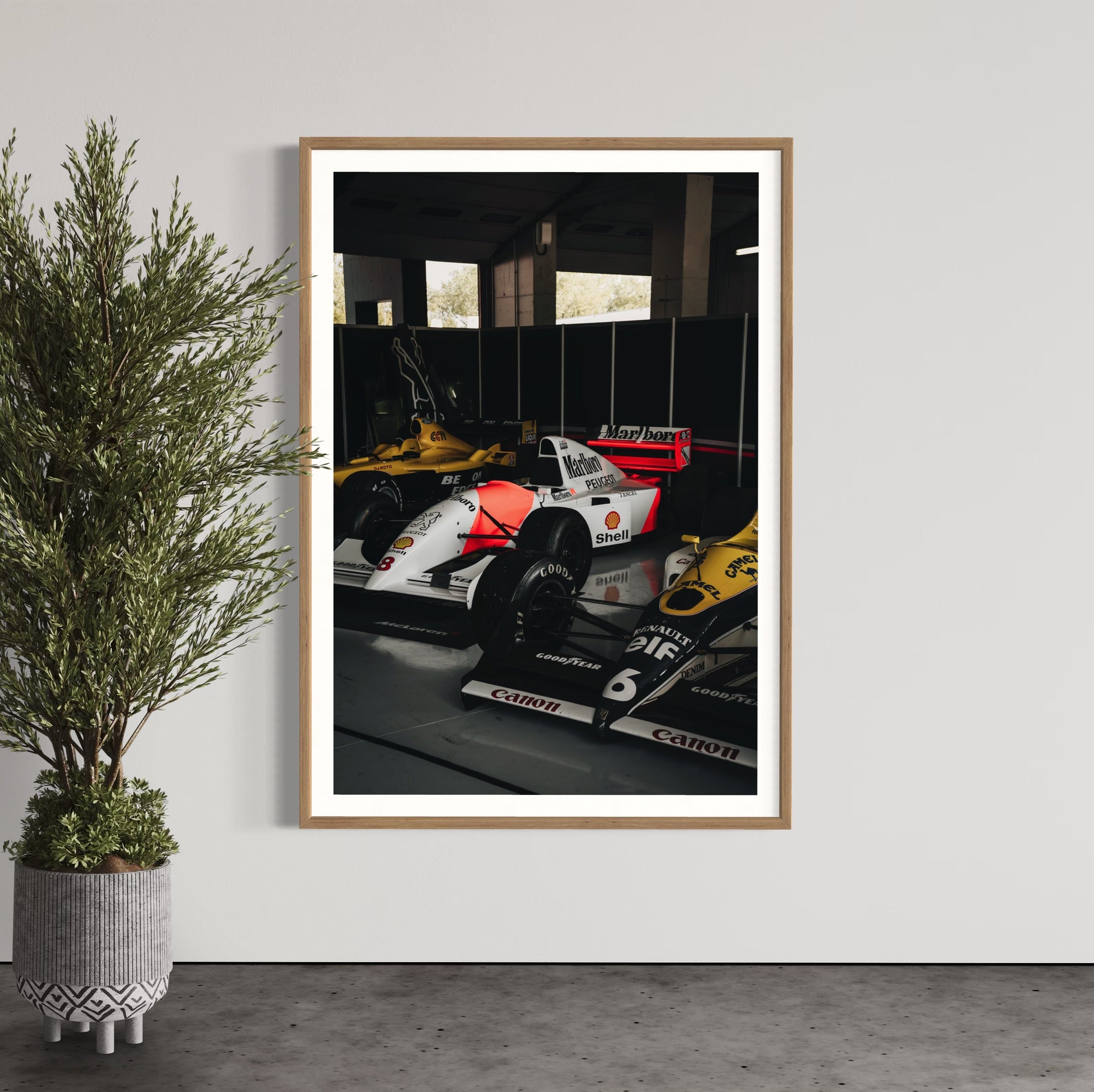 Old Ladies - Wall of Venus