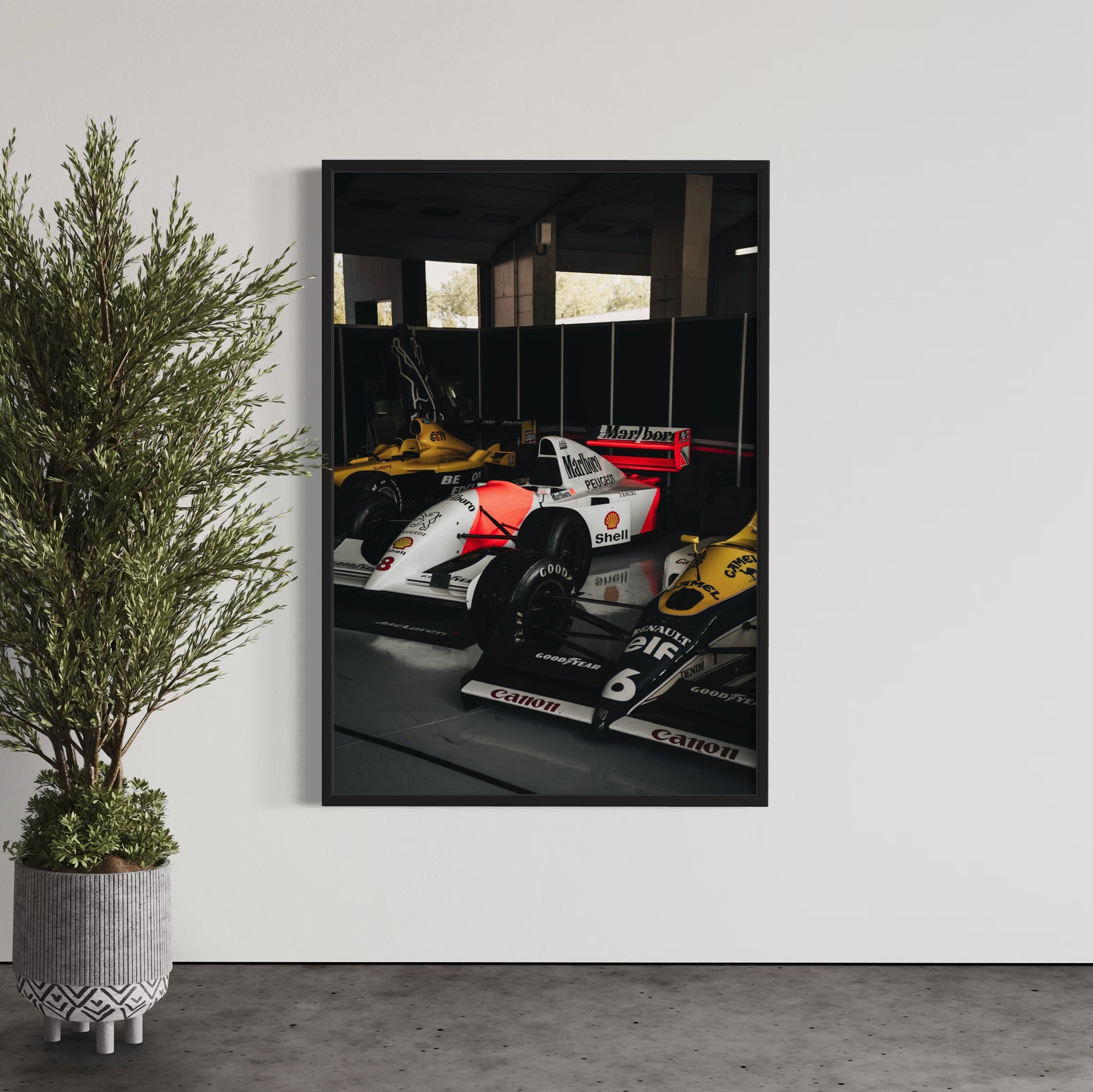 Old Ladies - Wall of Venus