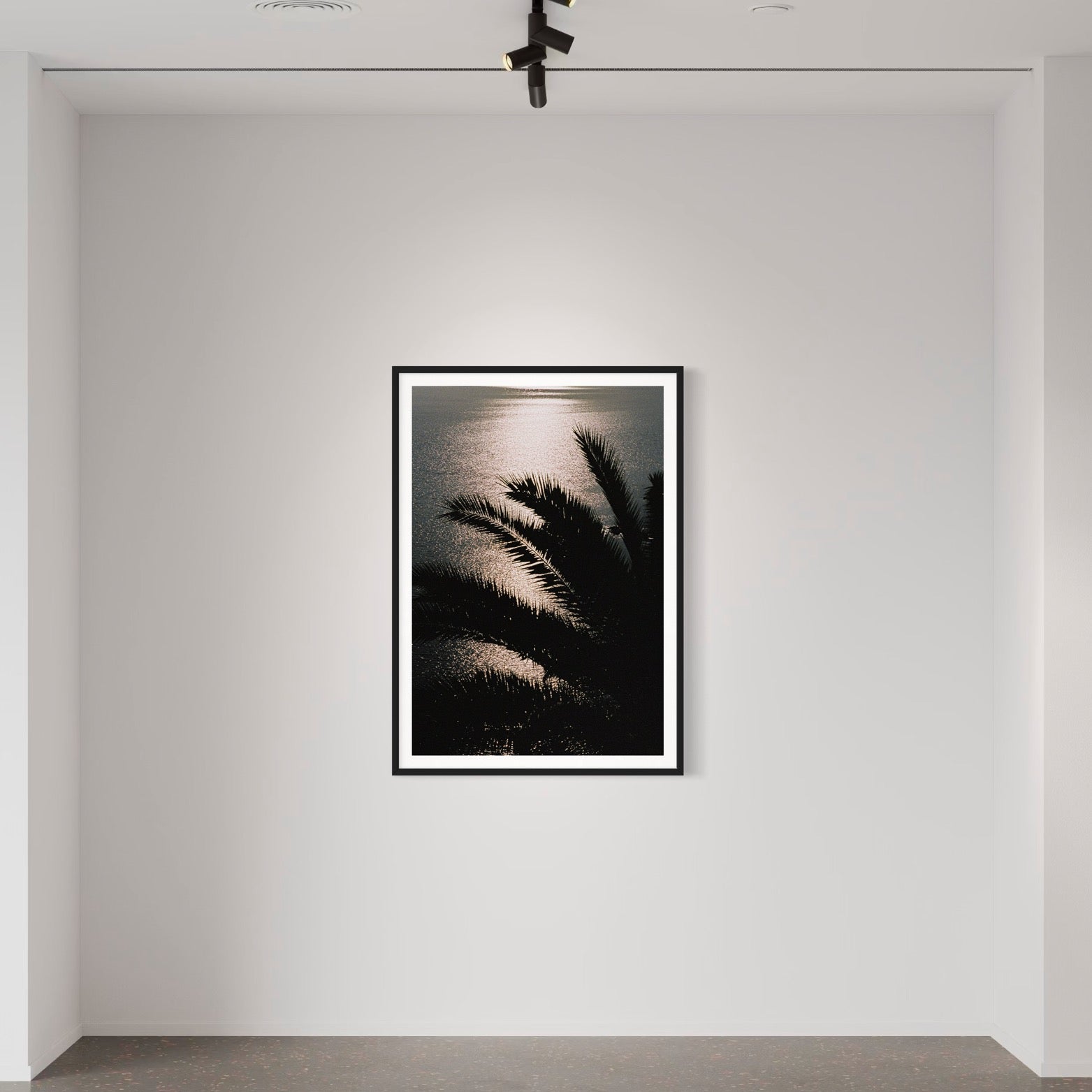 Goodbye Sun - Wall of Venus