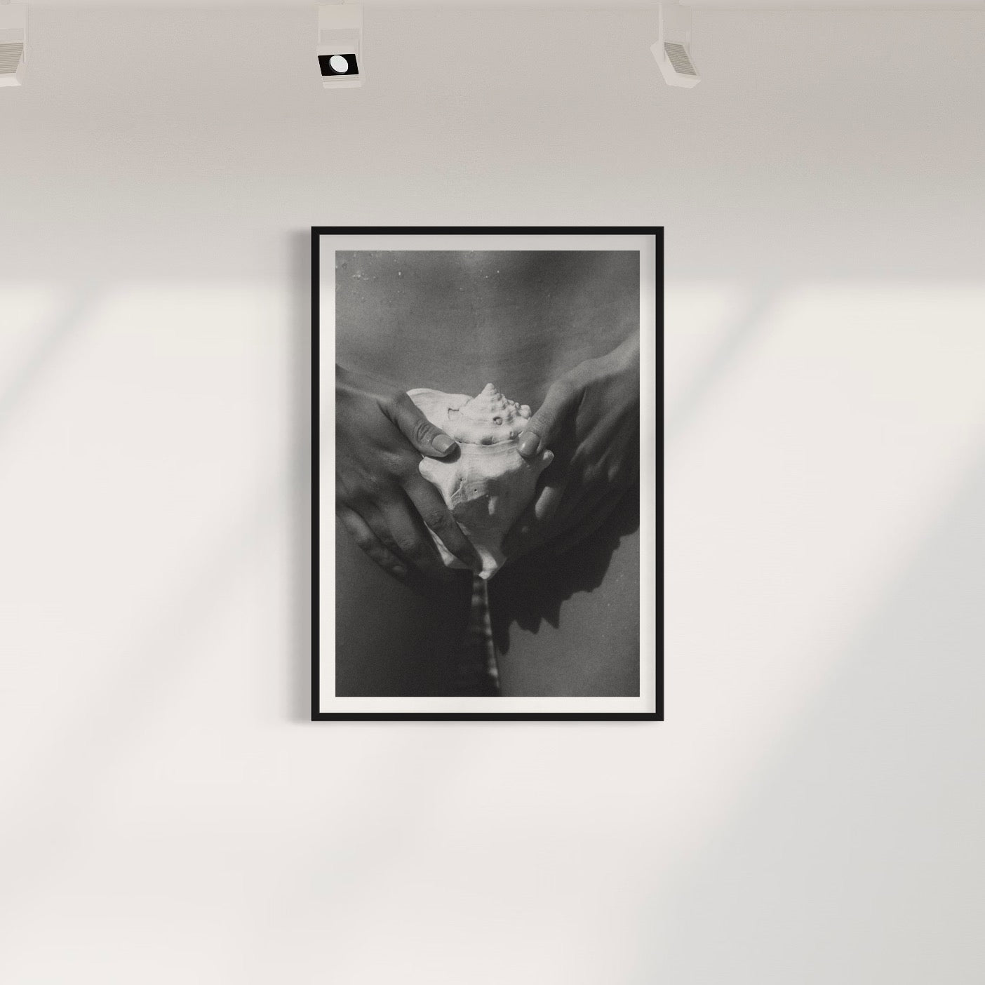 The Shell - Wall of Venus