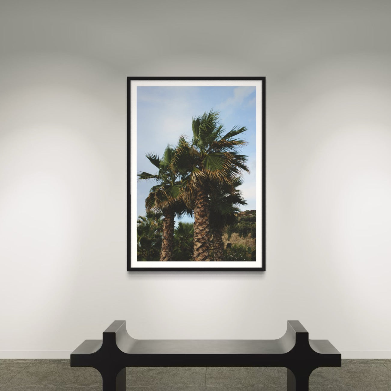 Tropical Club - Wall of Venus