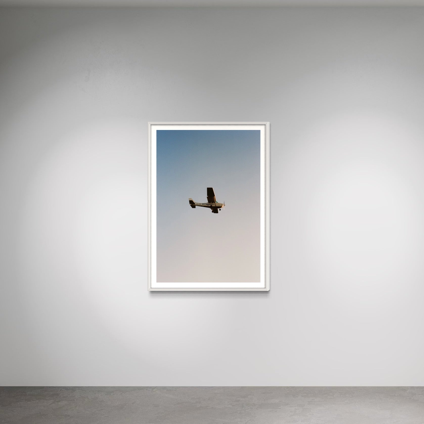 Zulu - Wall of Venus