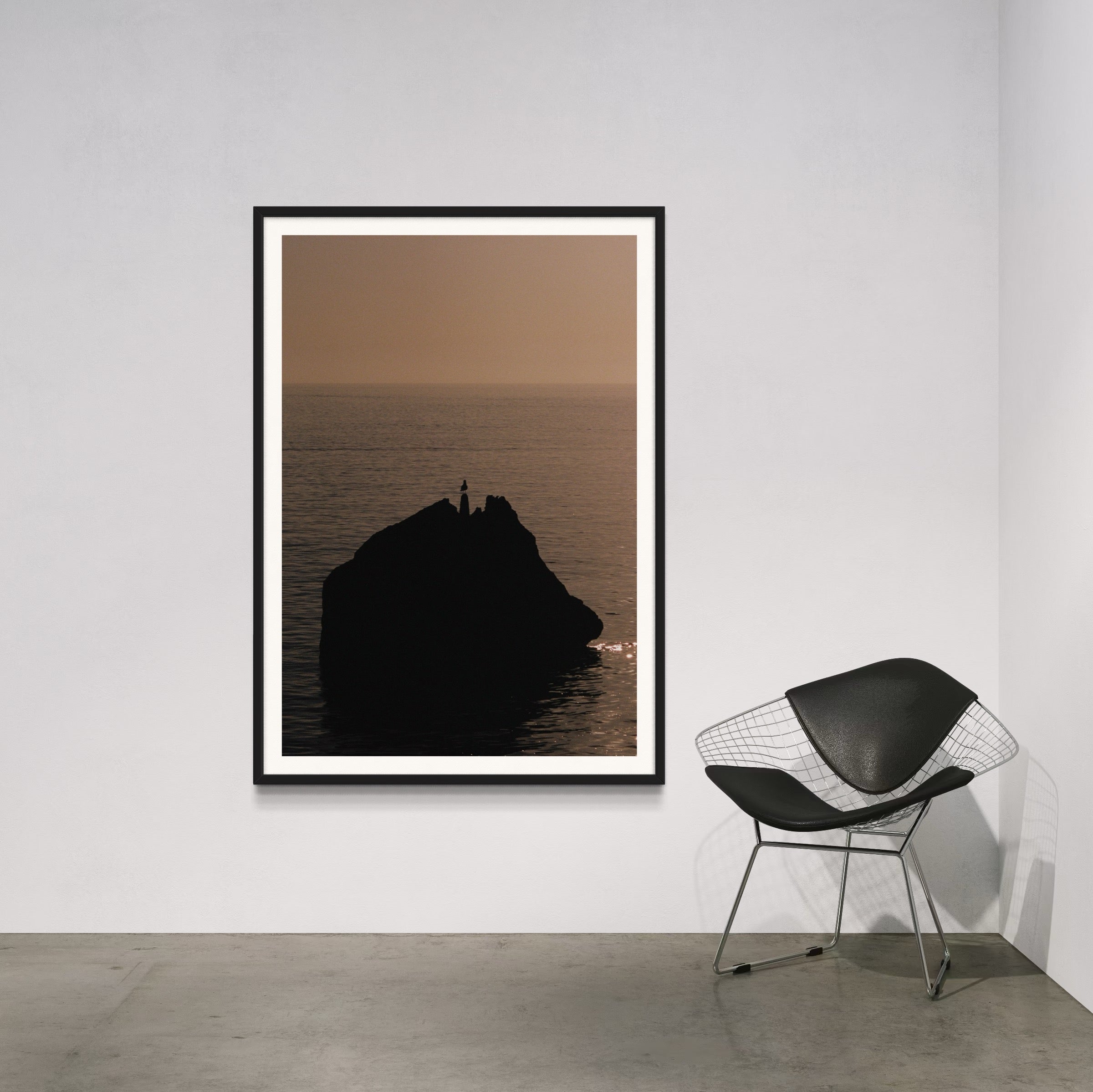 Seagull - Wall of Venus