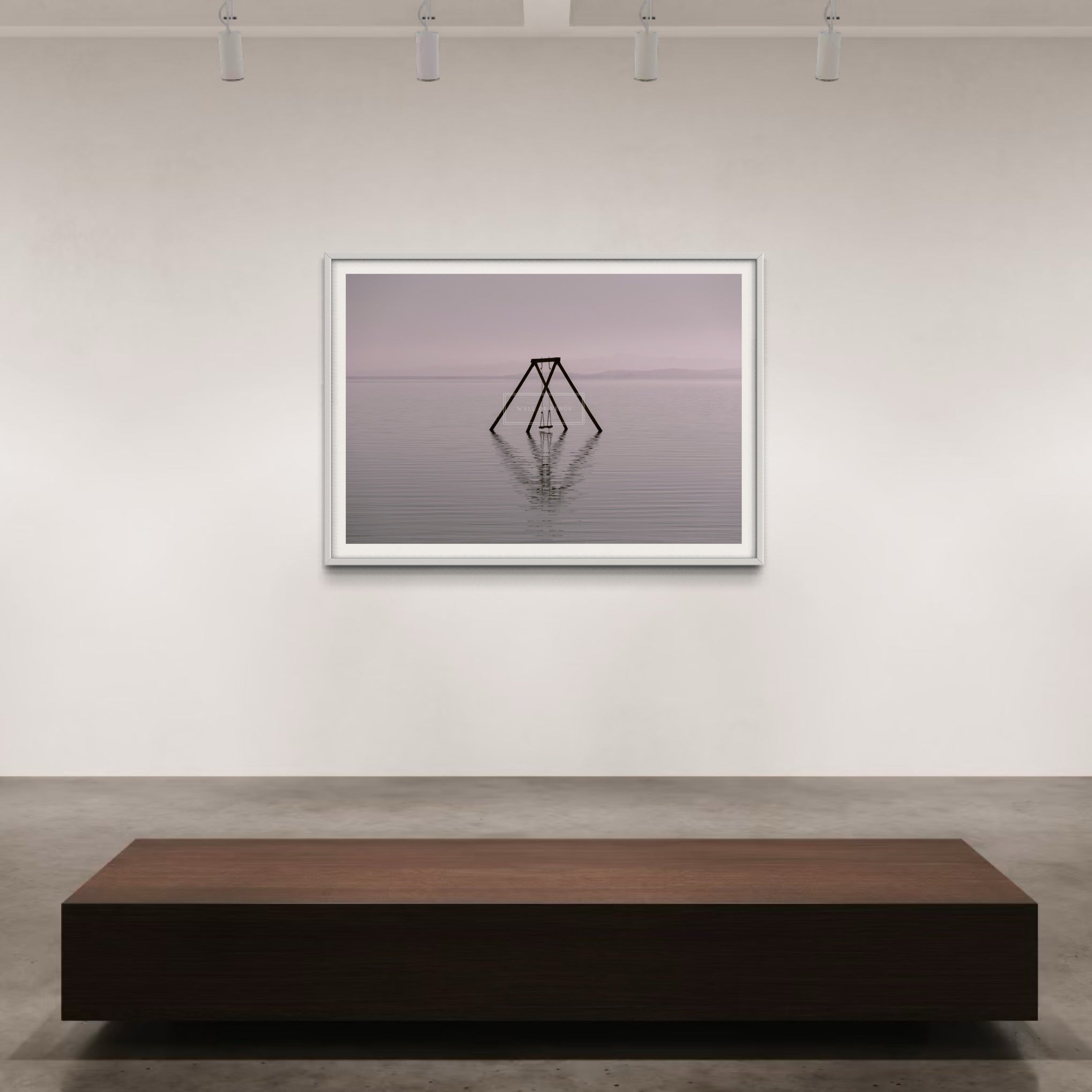 Salton Swing - Wall of Venus