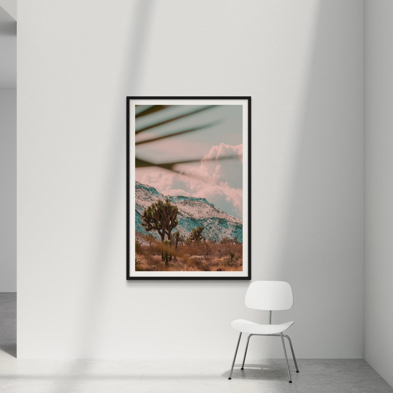 Flamingo Heights - Wall of Venus