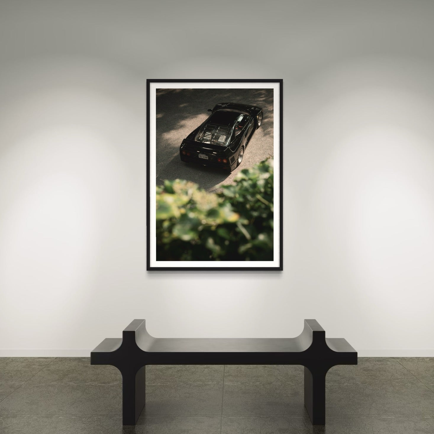 Black Queen - Wall of Venus