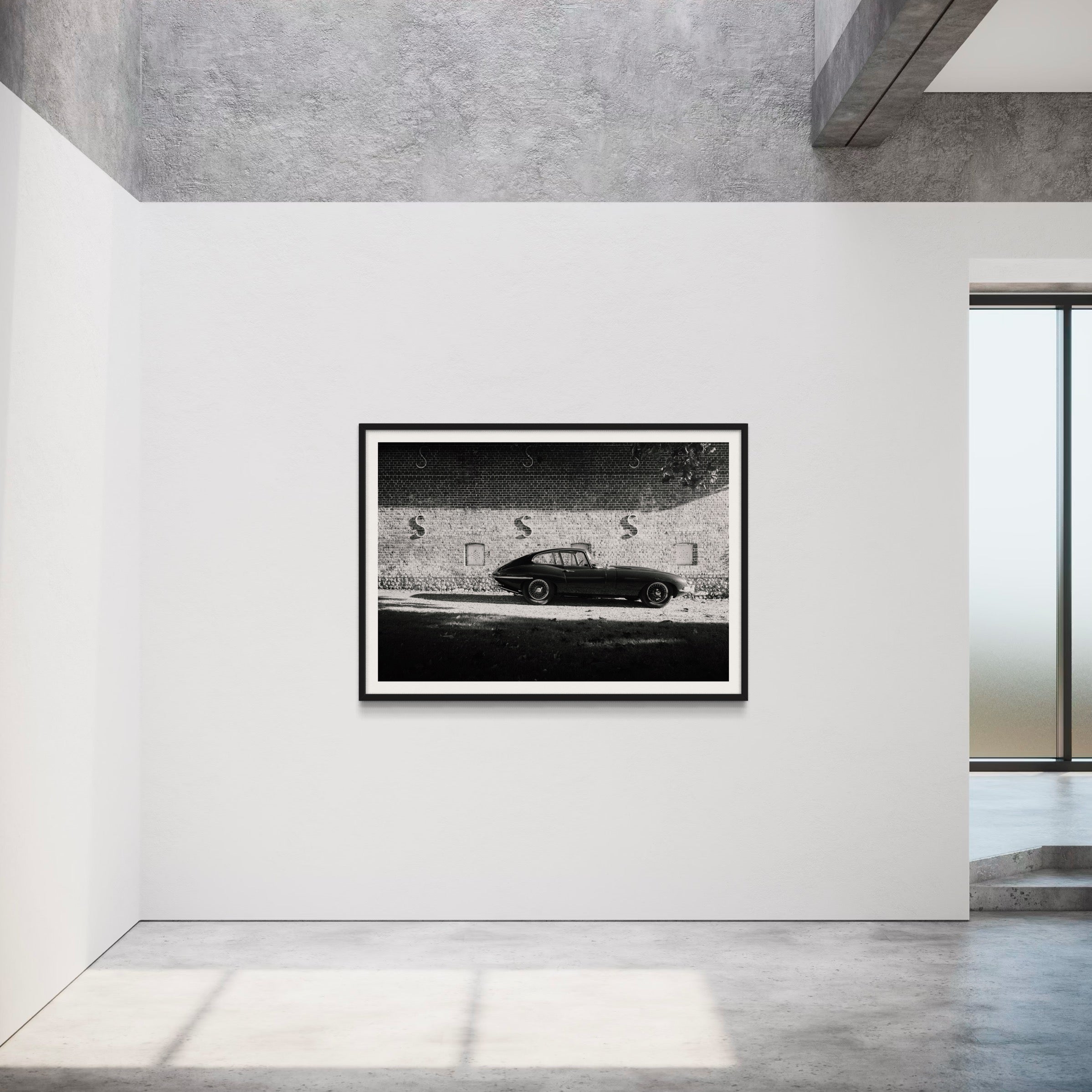 Big Cats 2 - Wall of Venus