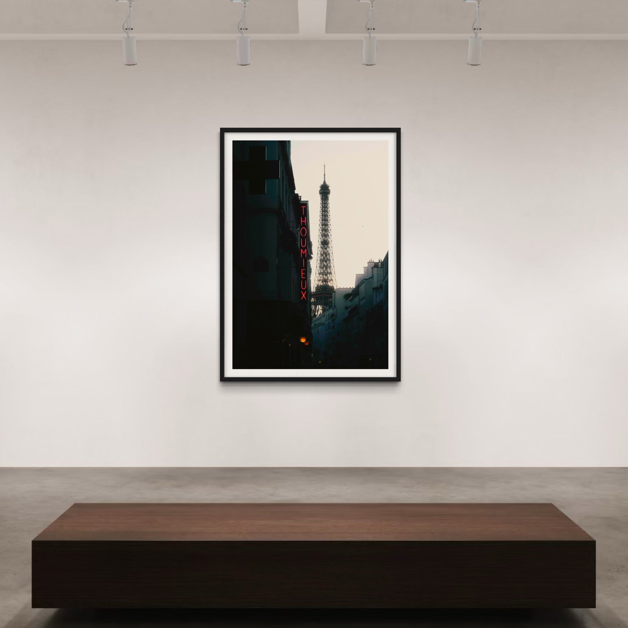 Parisian Treillis - Wall of Venus