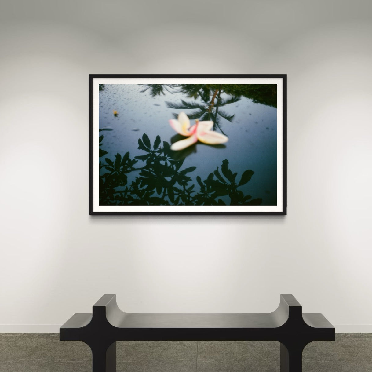 Morning Paradise - Wall of Venus