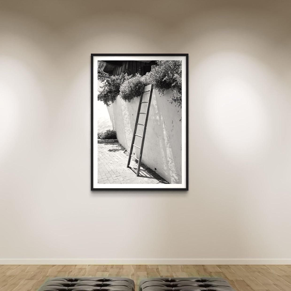 Still Life - Wall of Venus