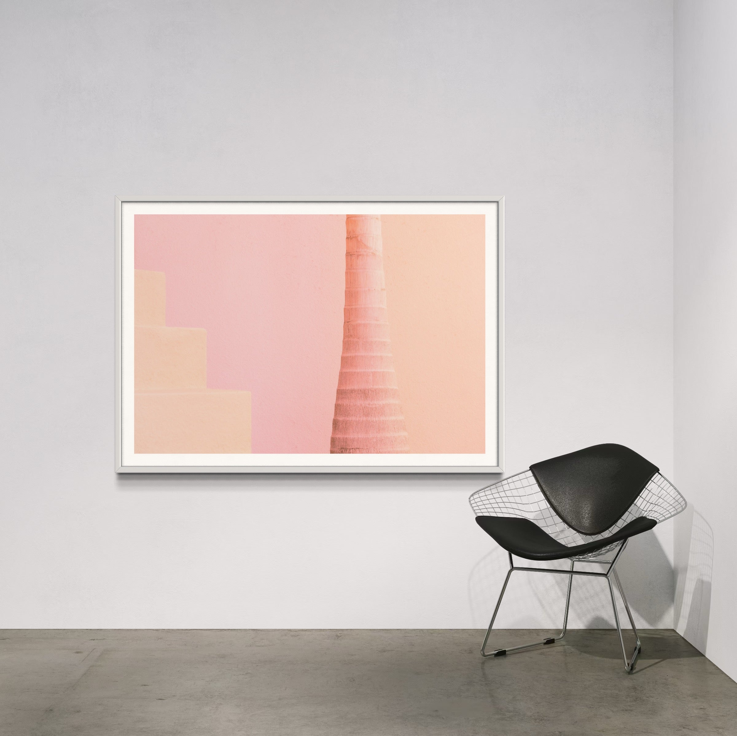 Creamsicle - Wall of Venus