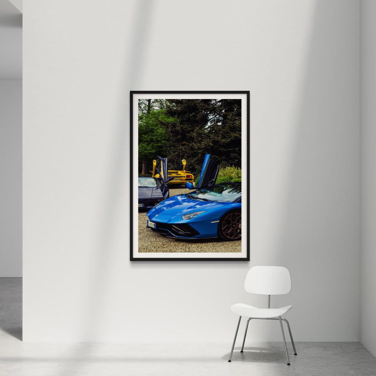 Wings Spread - Wall of Venus