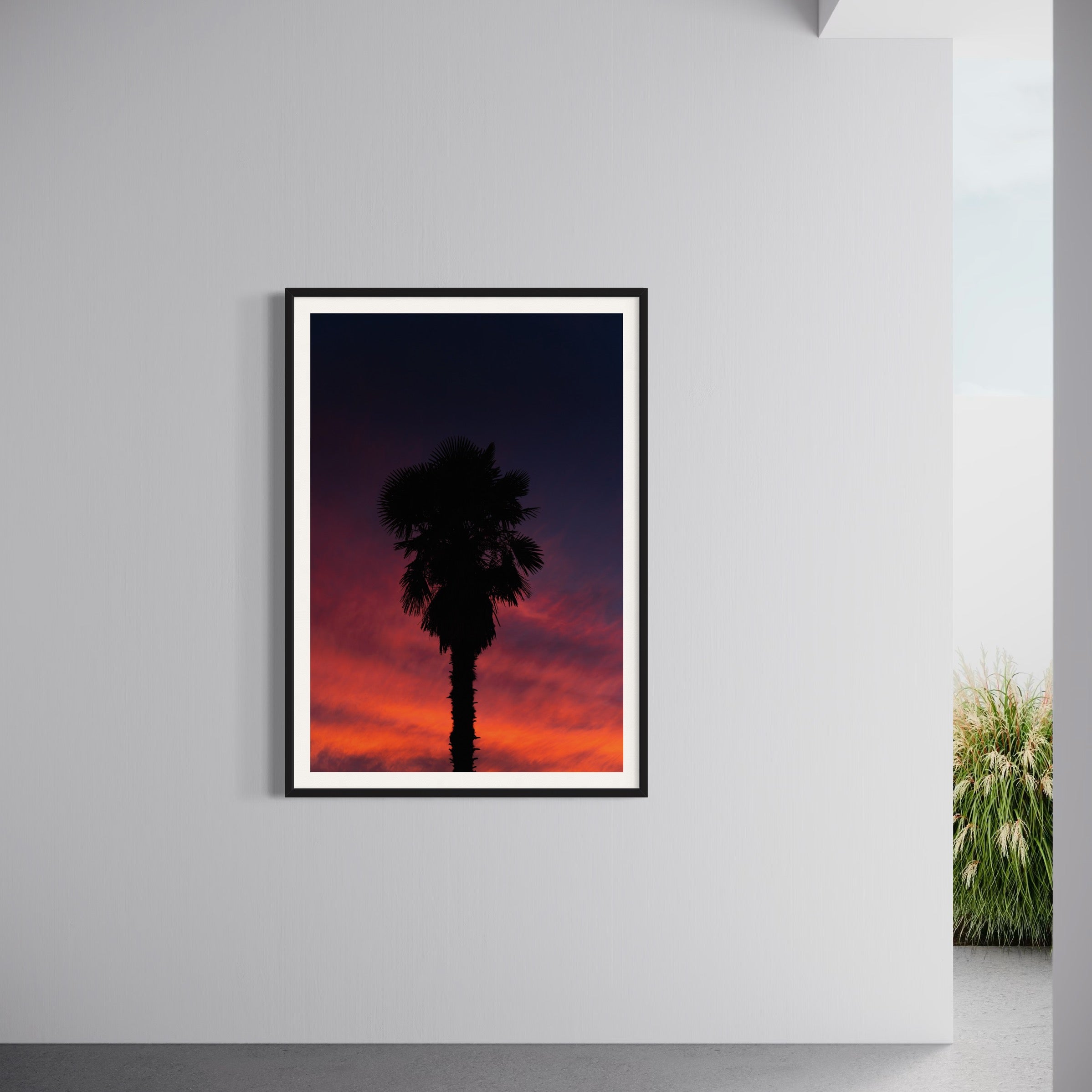 Rogue - Wall of Venus