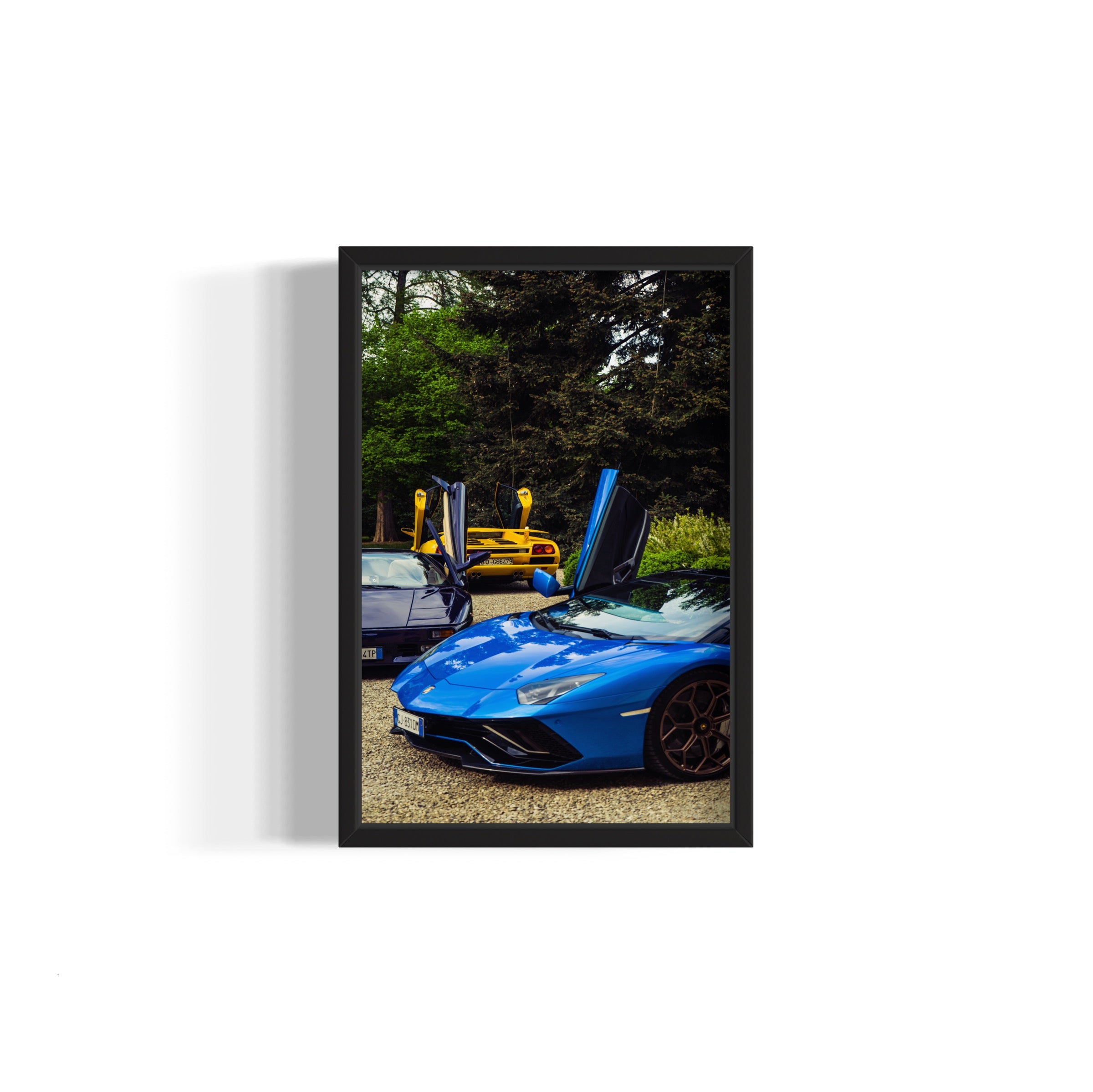 Wings Spread - Wall of Venus