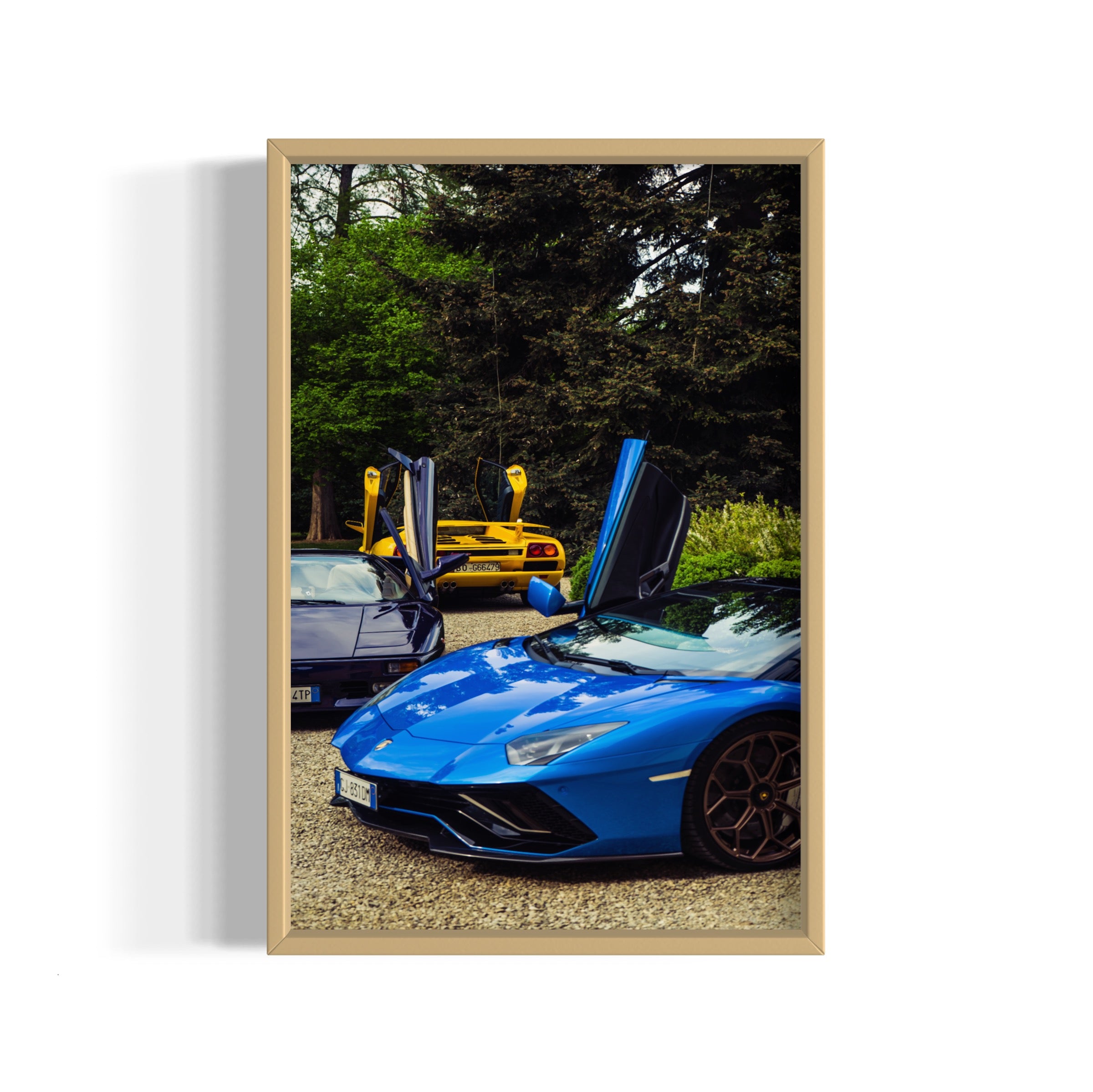 Wings Spread - Wall of Venus