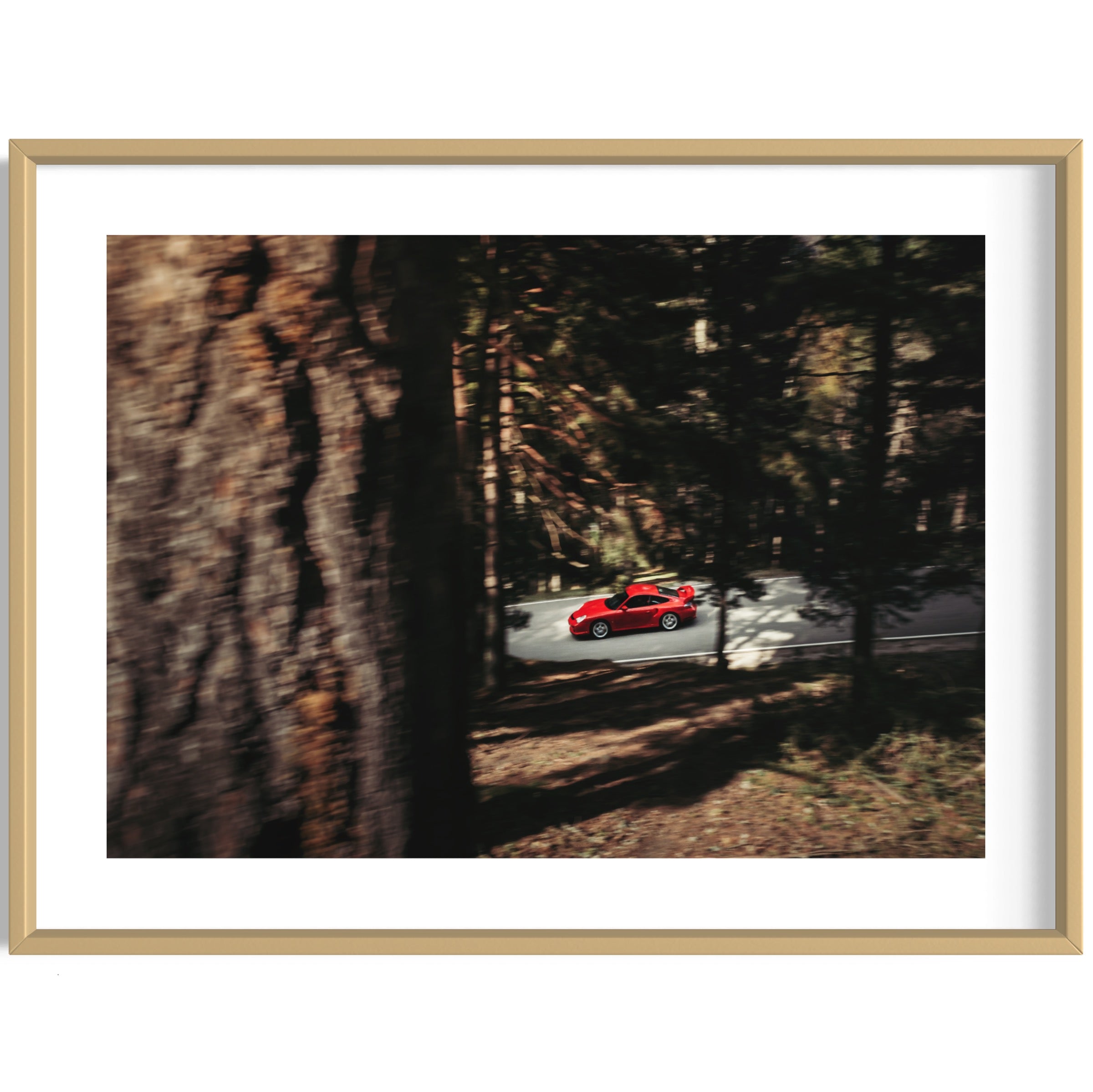 Red Riding Hood - Wall of Venus