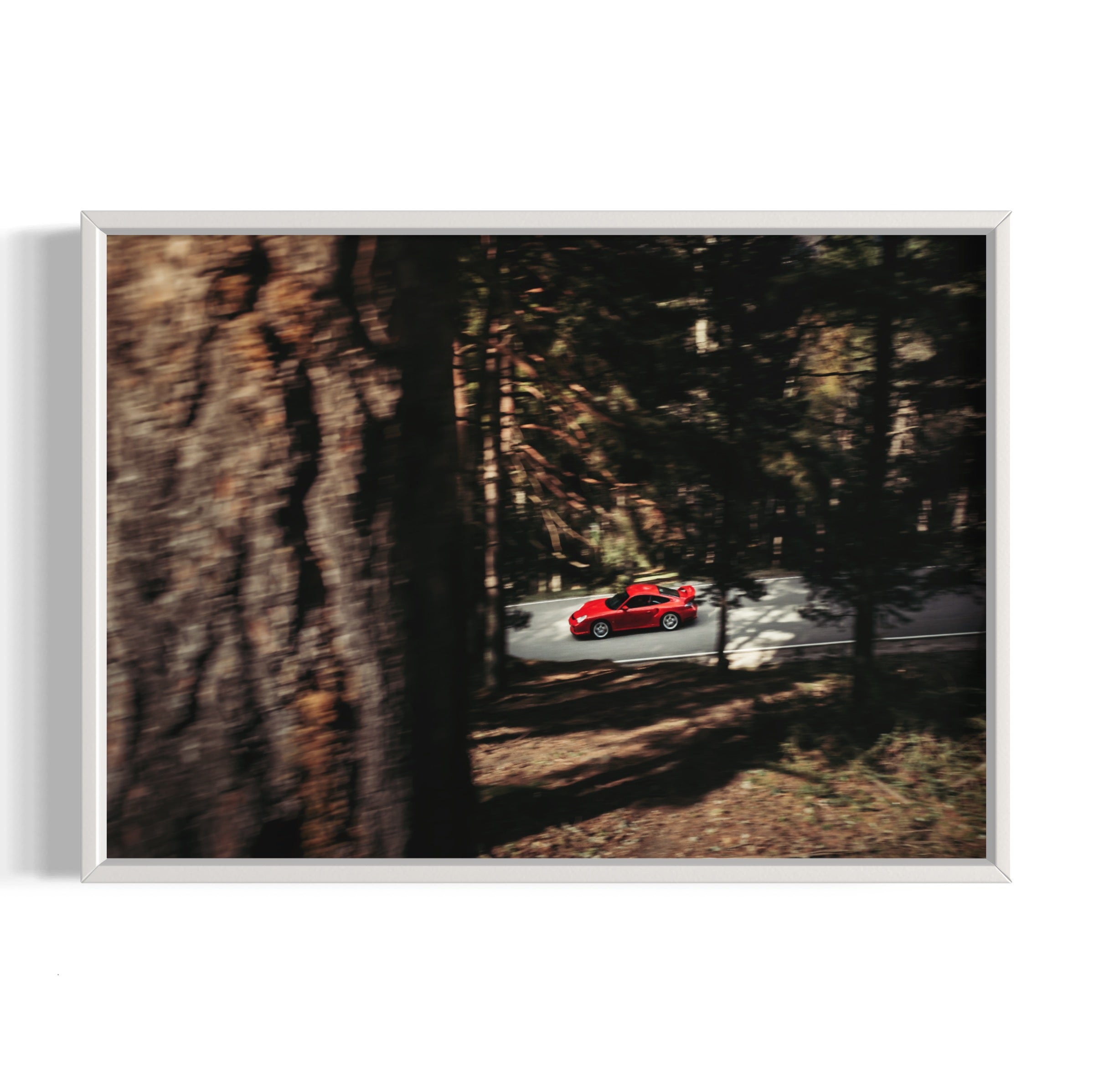 Red Riding Hood - Wall of Venus