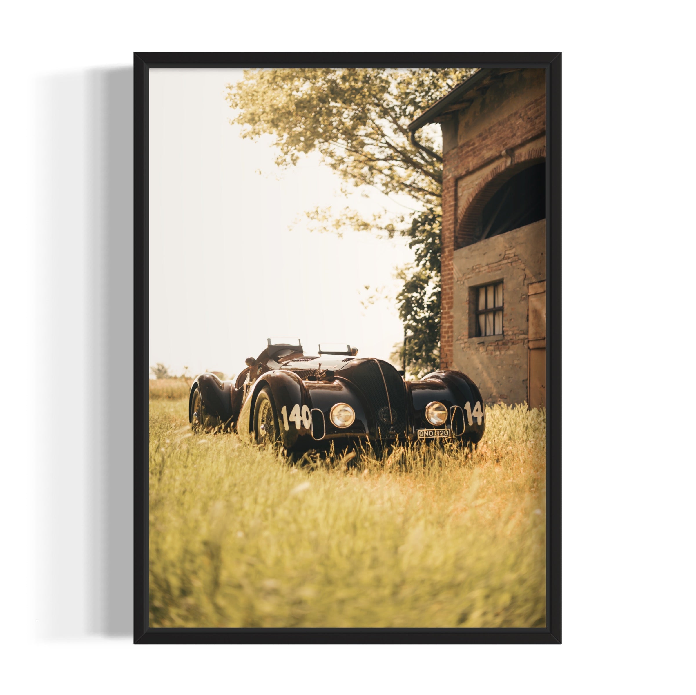 Mille Miglia - Wall of Venus