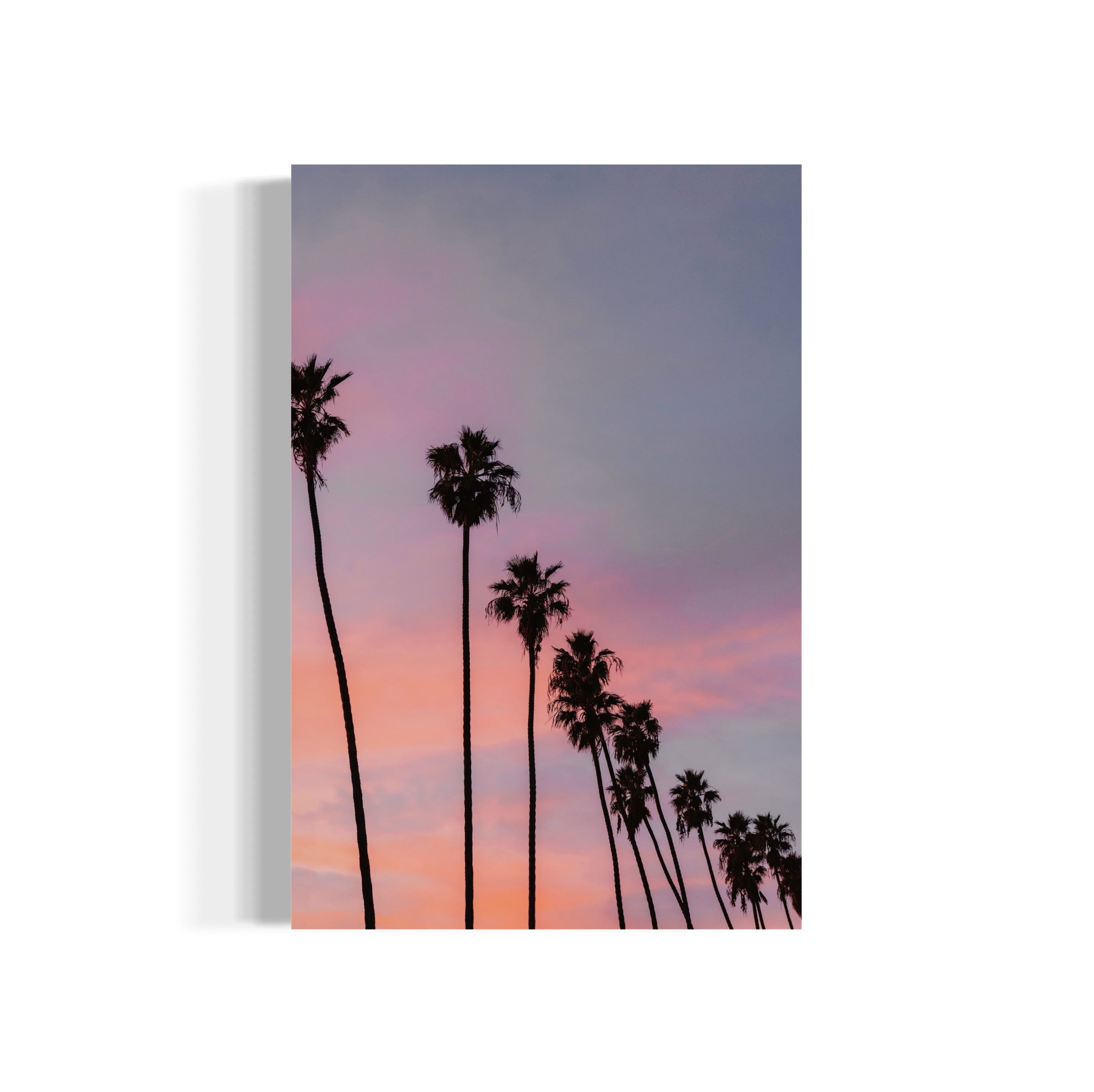 West LA - Wall of Venus