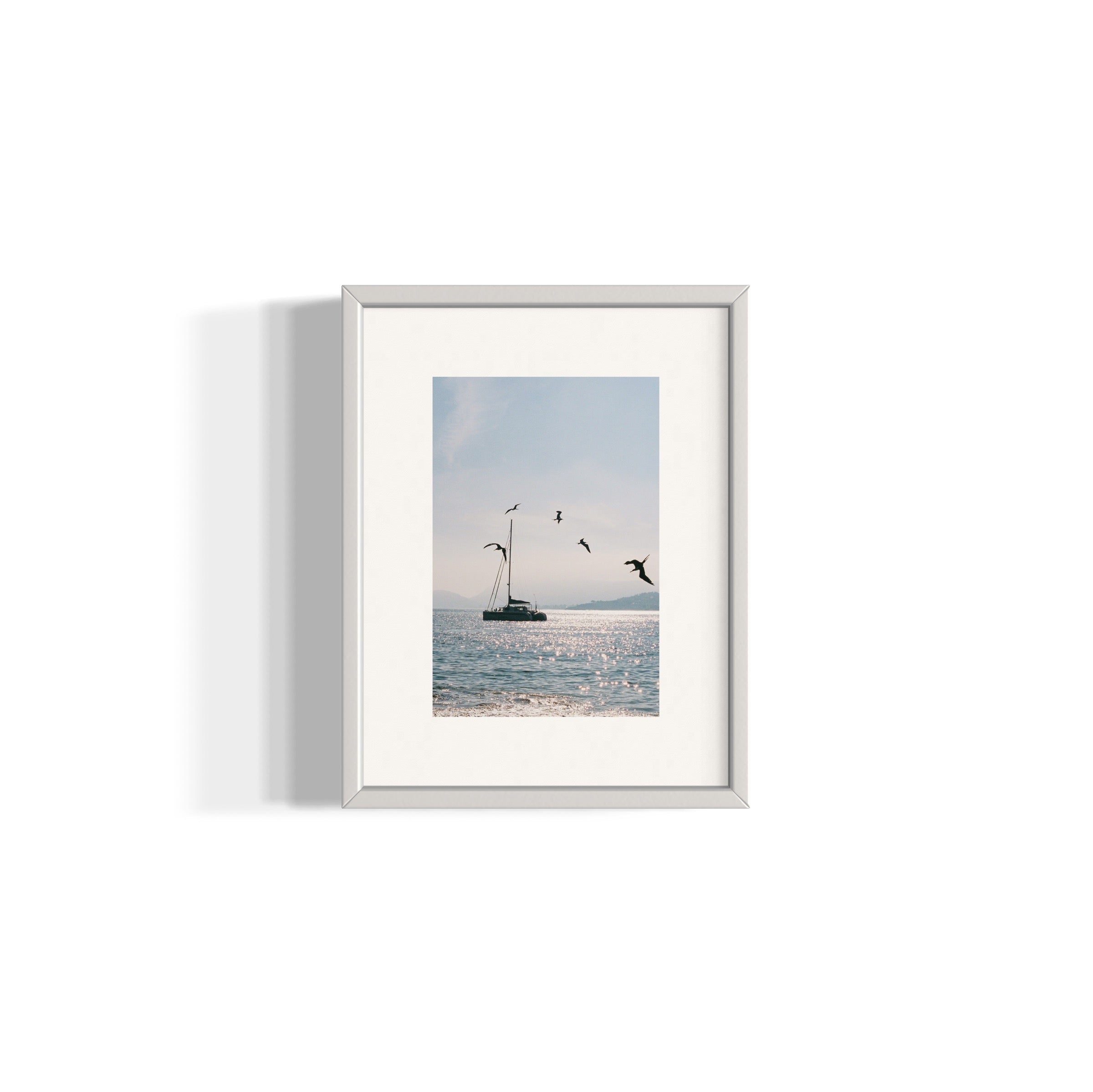 Morning Dive - Wall of Venus