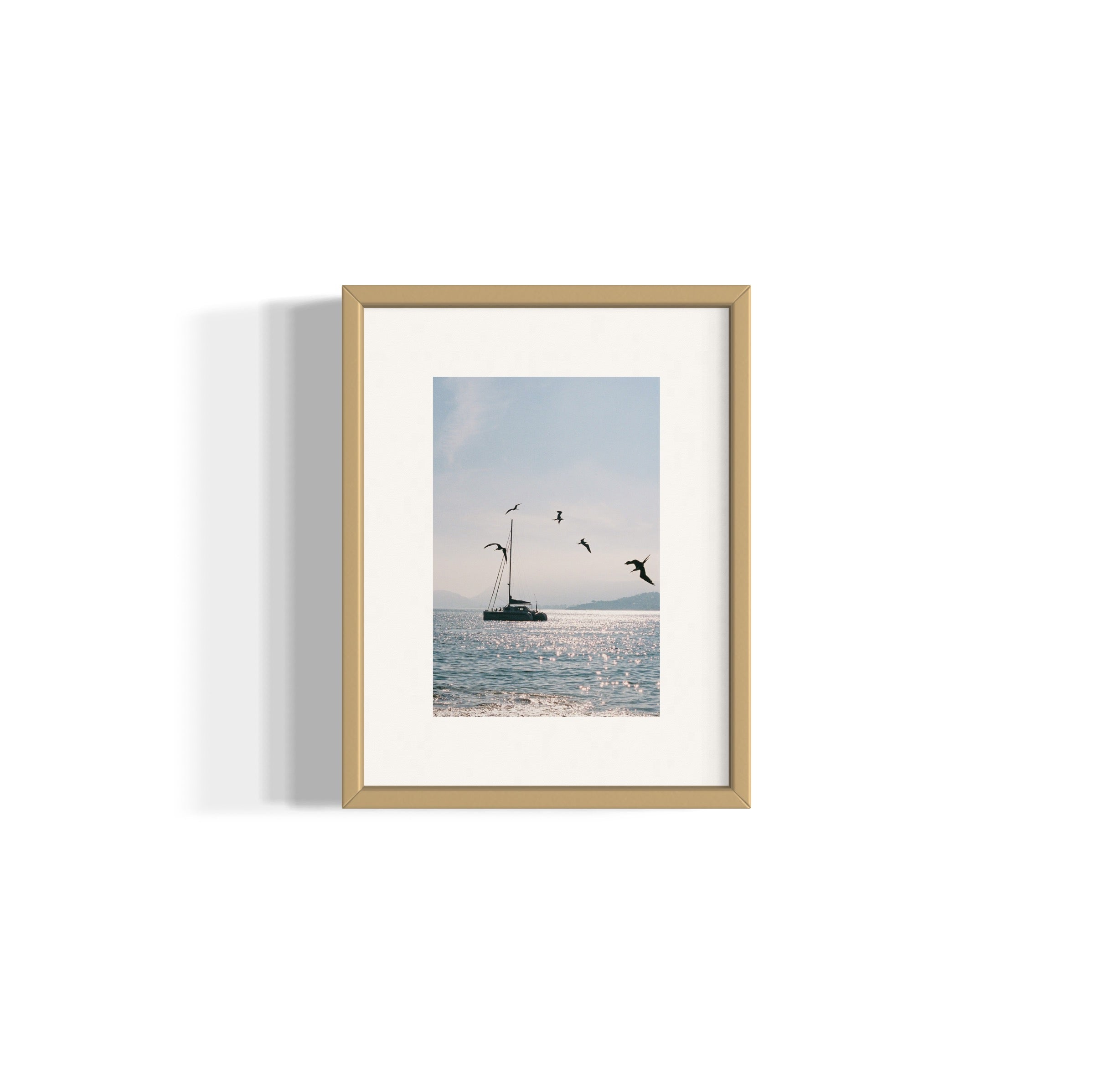 Morning Dive - Wall of Venus