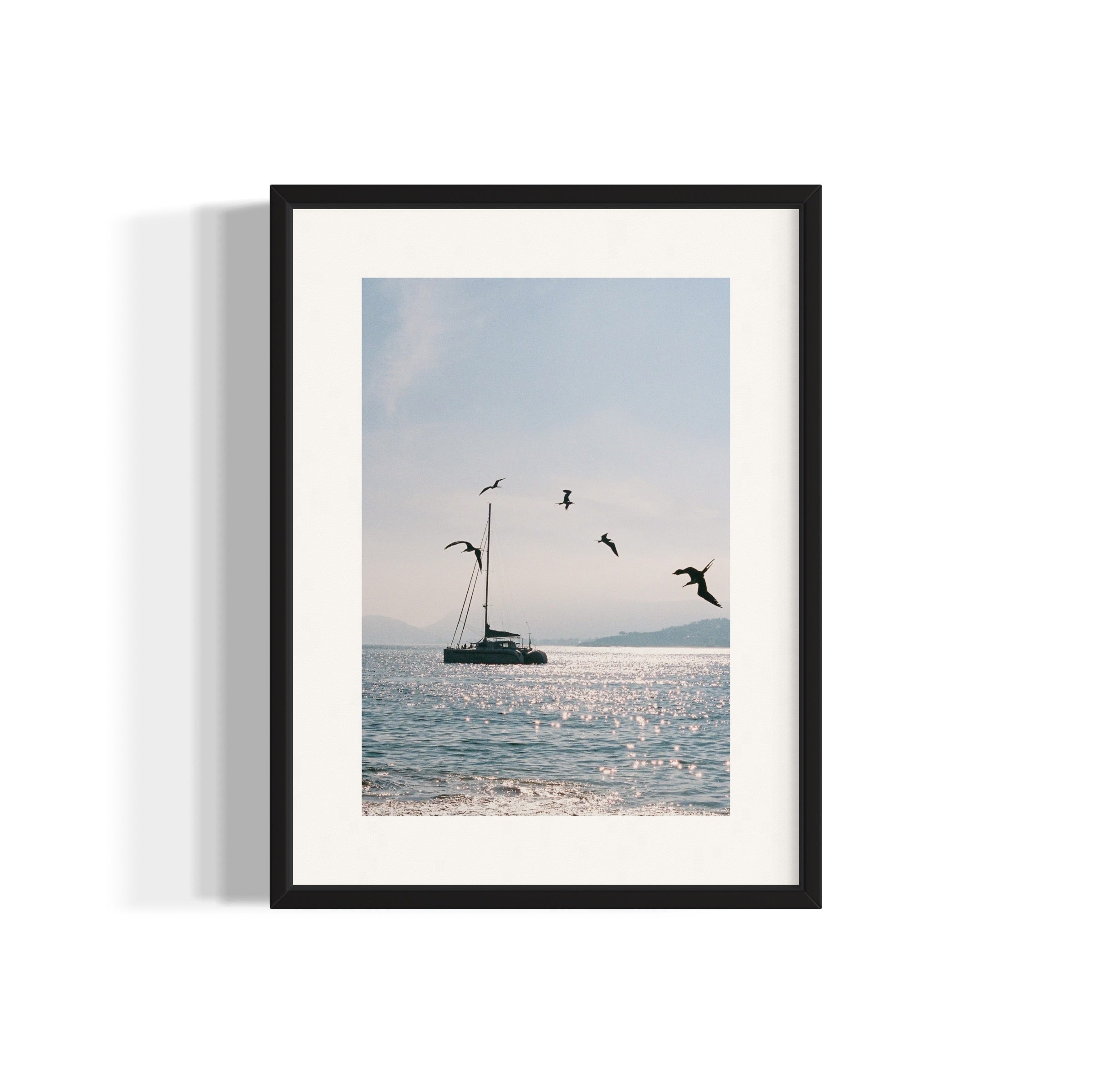 Morning Dive - Wall of Venus