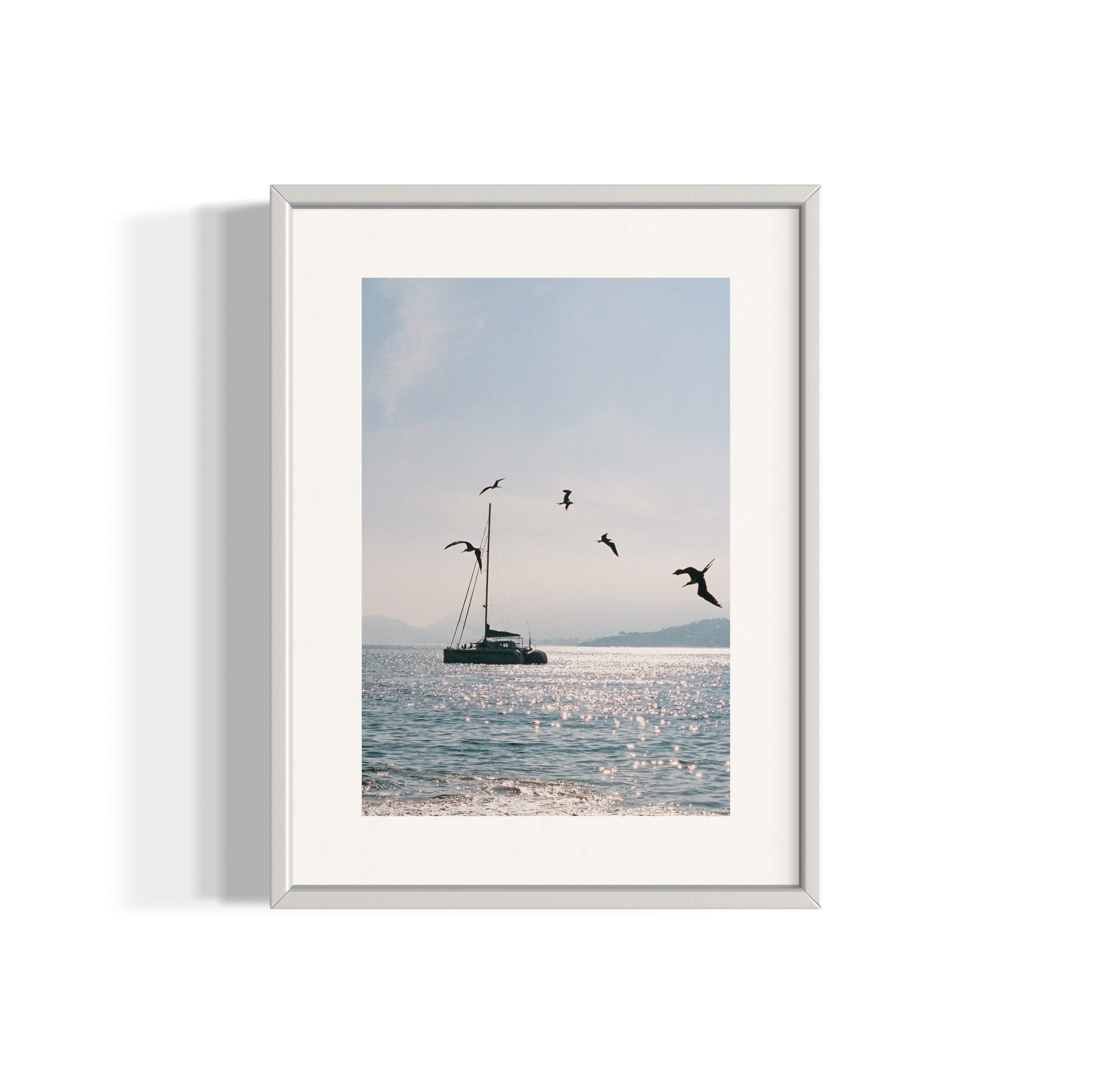 Morning Dive - Wall of Venus