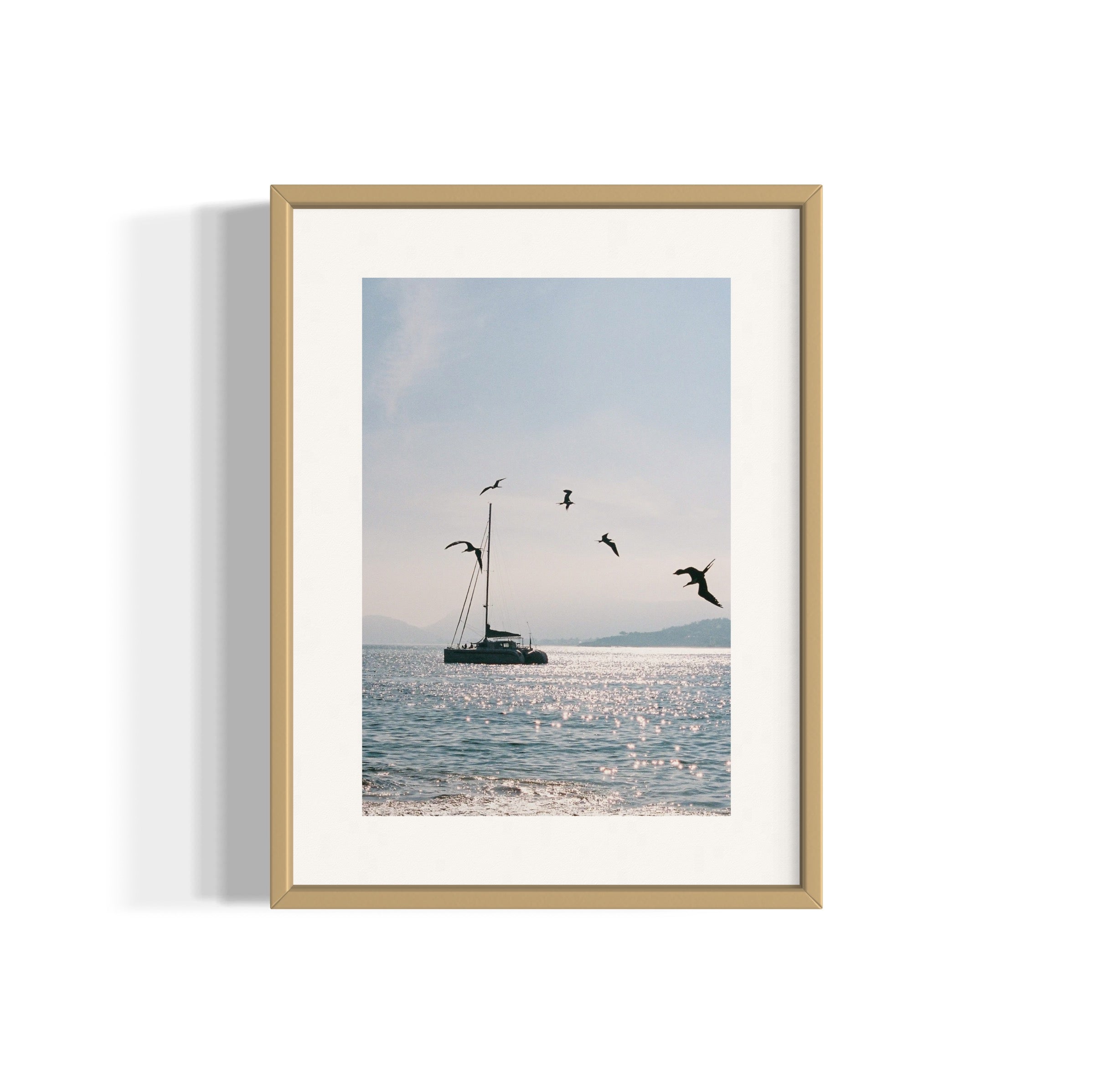 Morning Dive - Wall of Venus