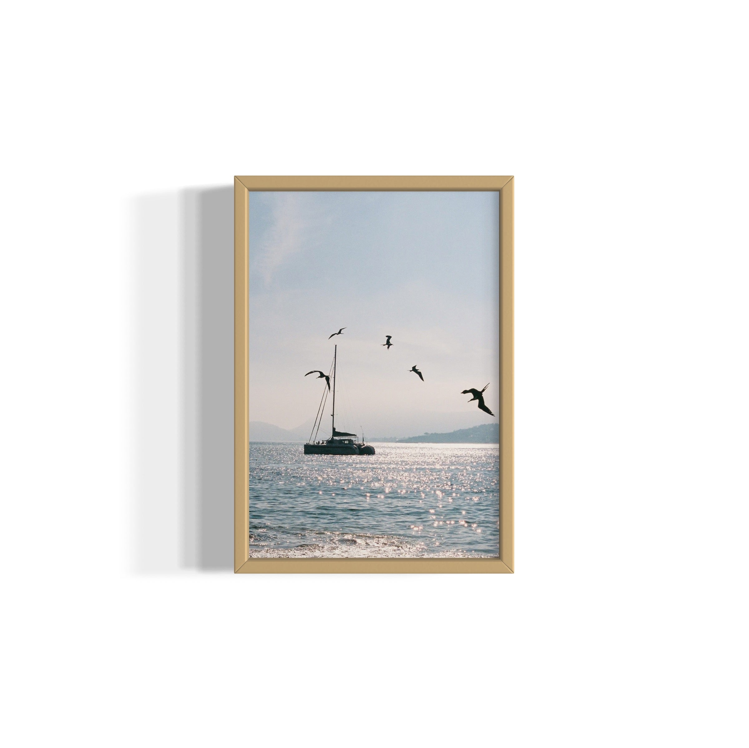 Morning Dive - Wall of Venus