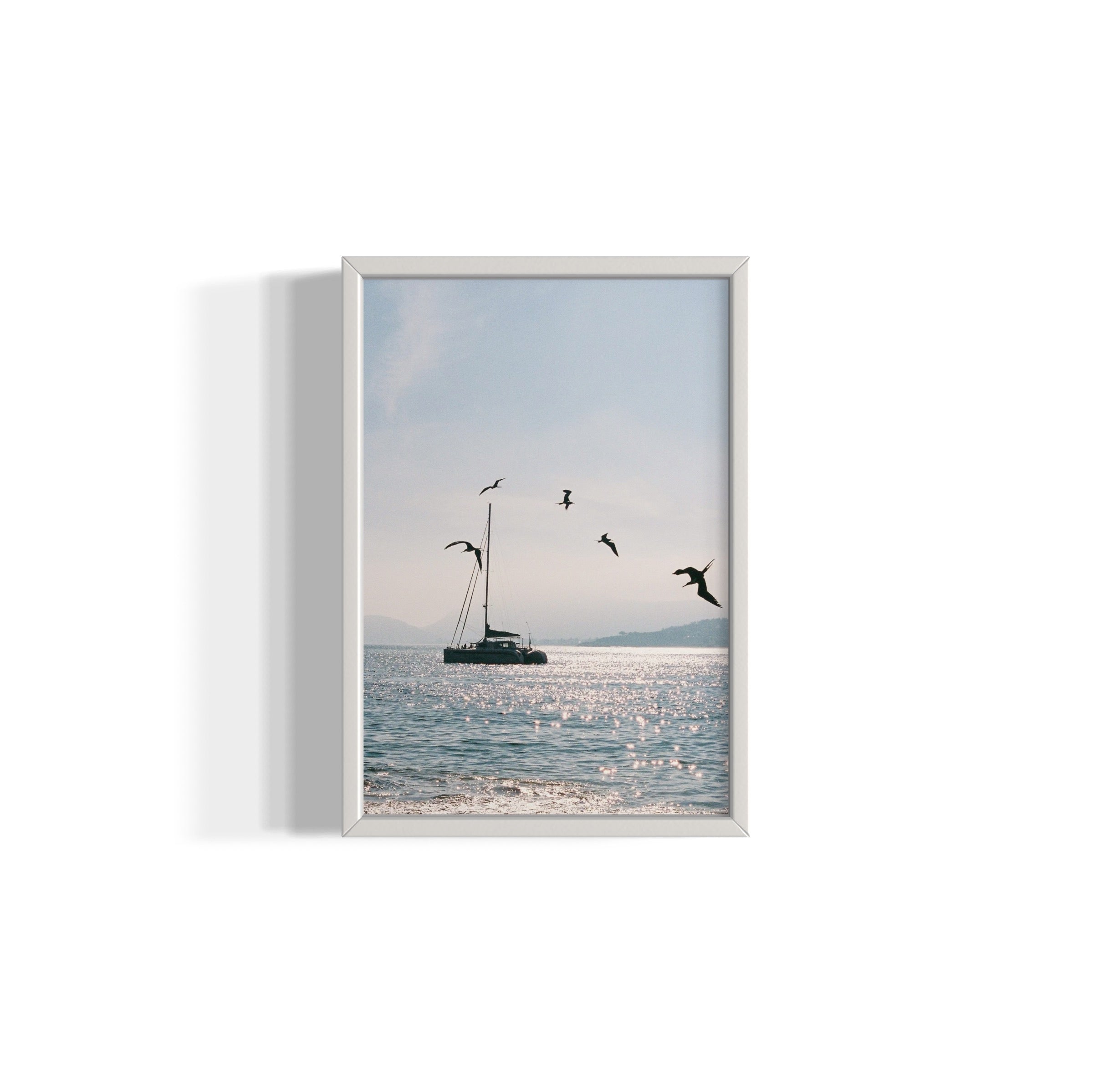 Morning Dive - Wall of Venus