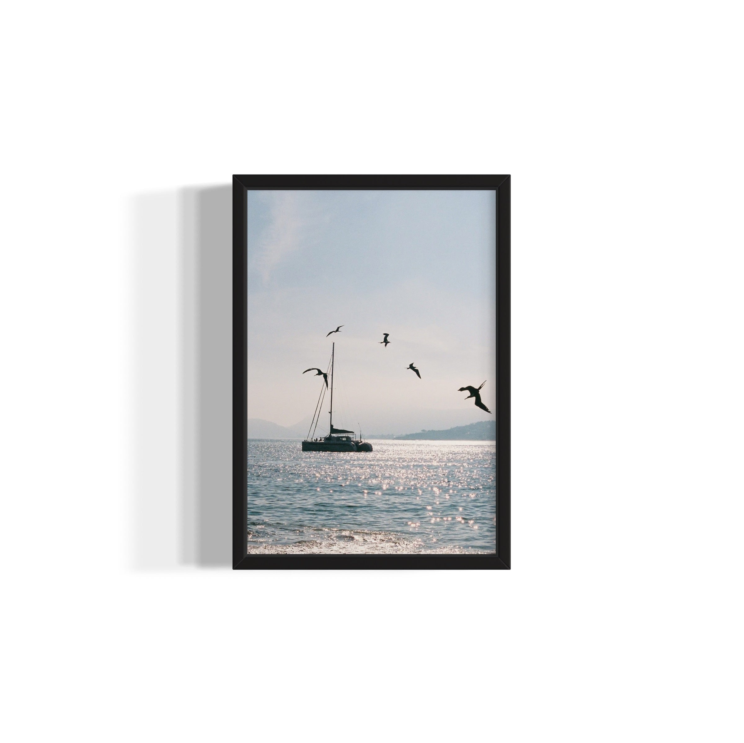 Morning Dive - Wall of Venus