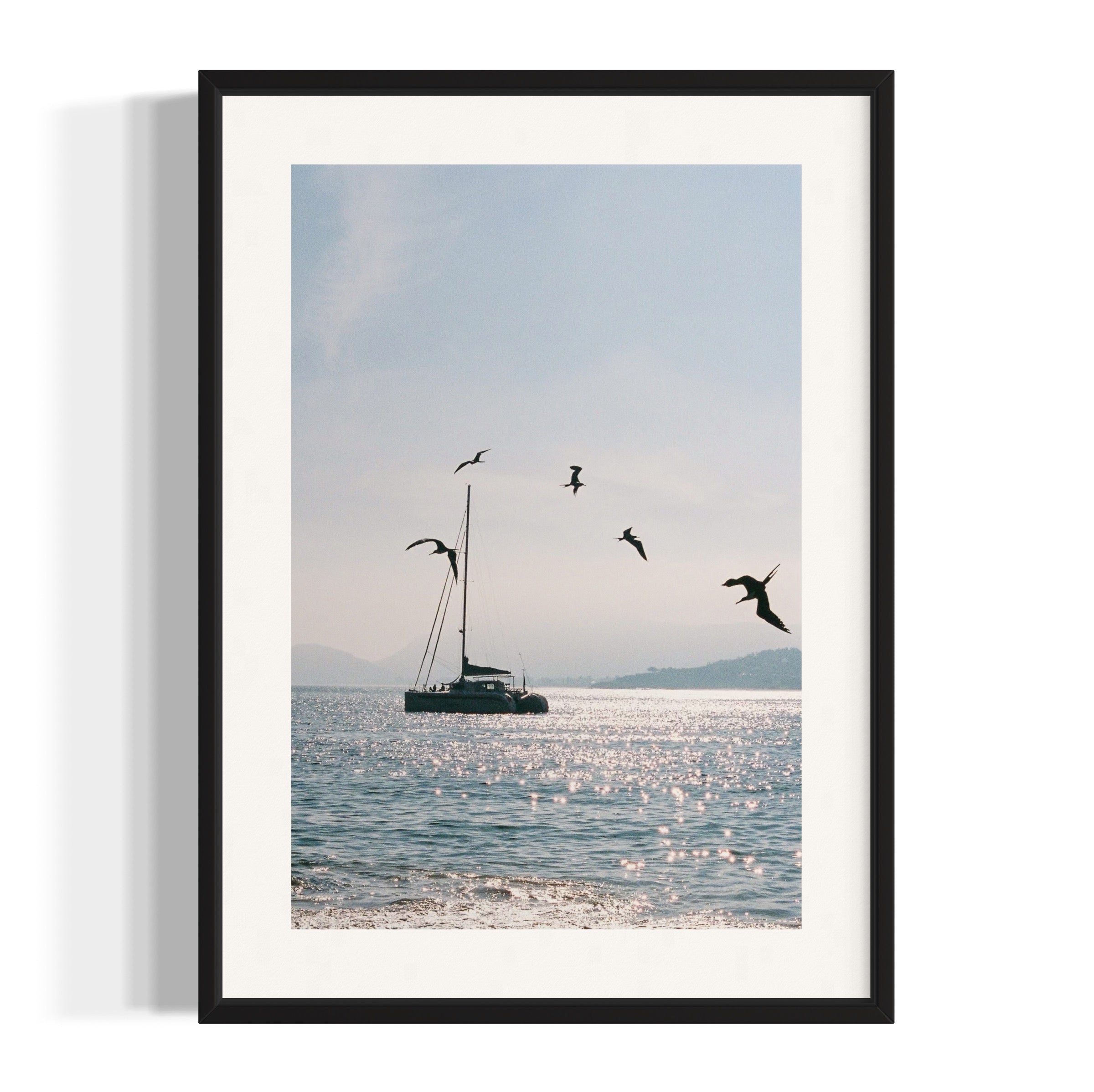 Morning Dive - Wall of Venus