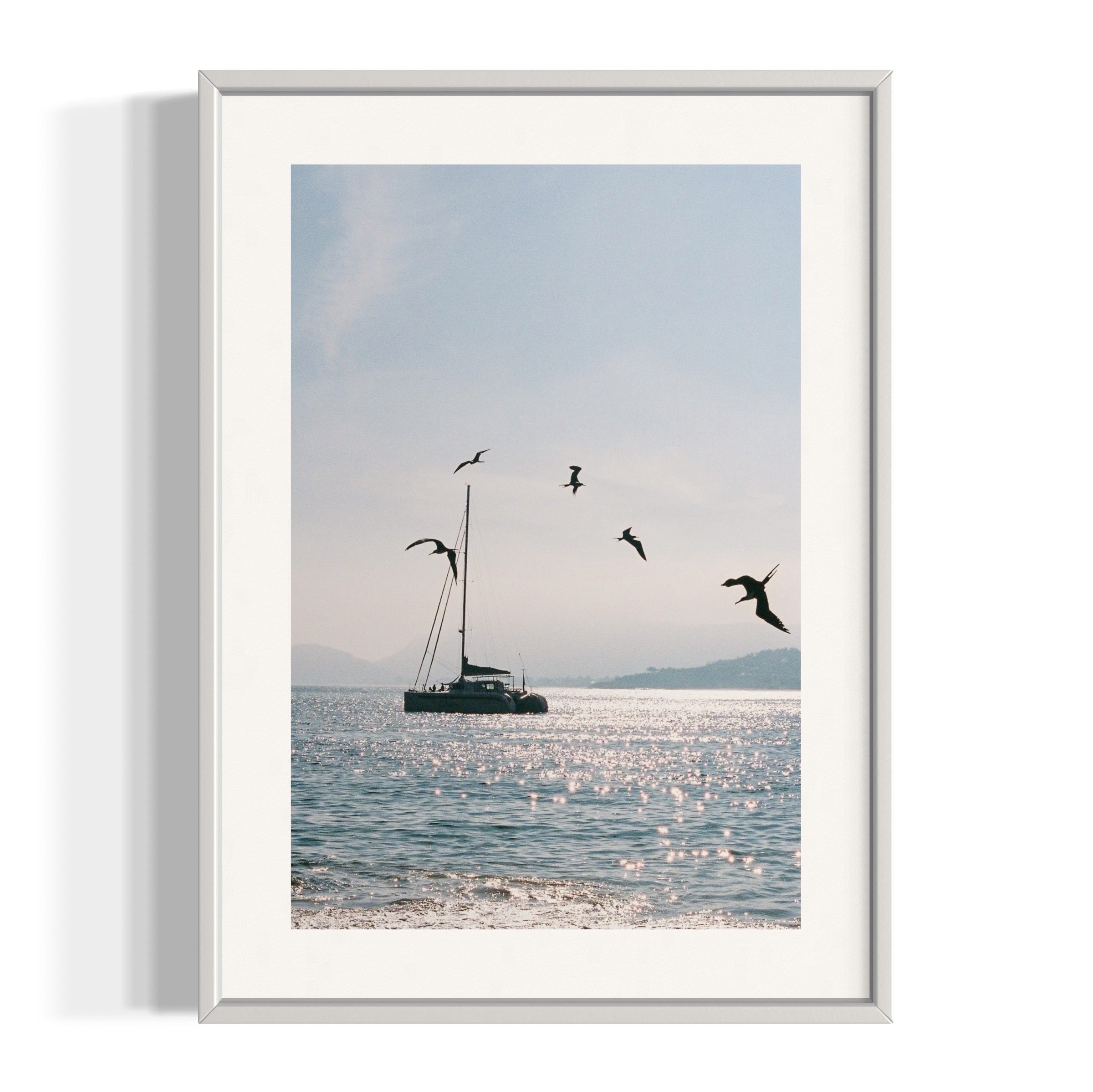 Morning Dive - Wall of Venus