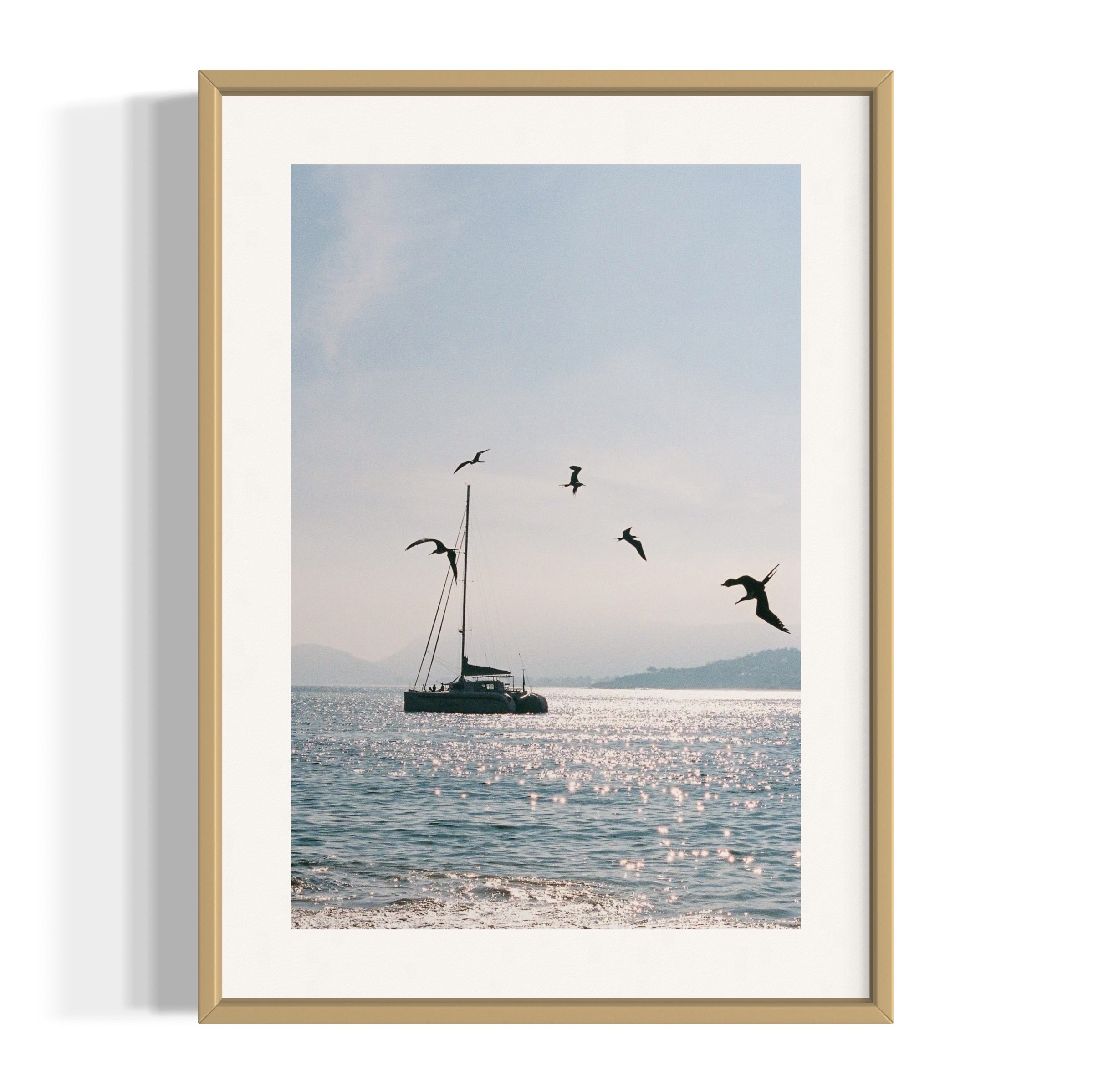 Morning Dive - Wall of Venus