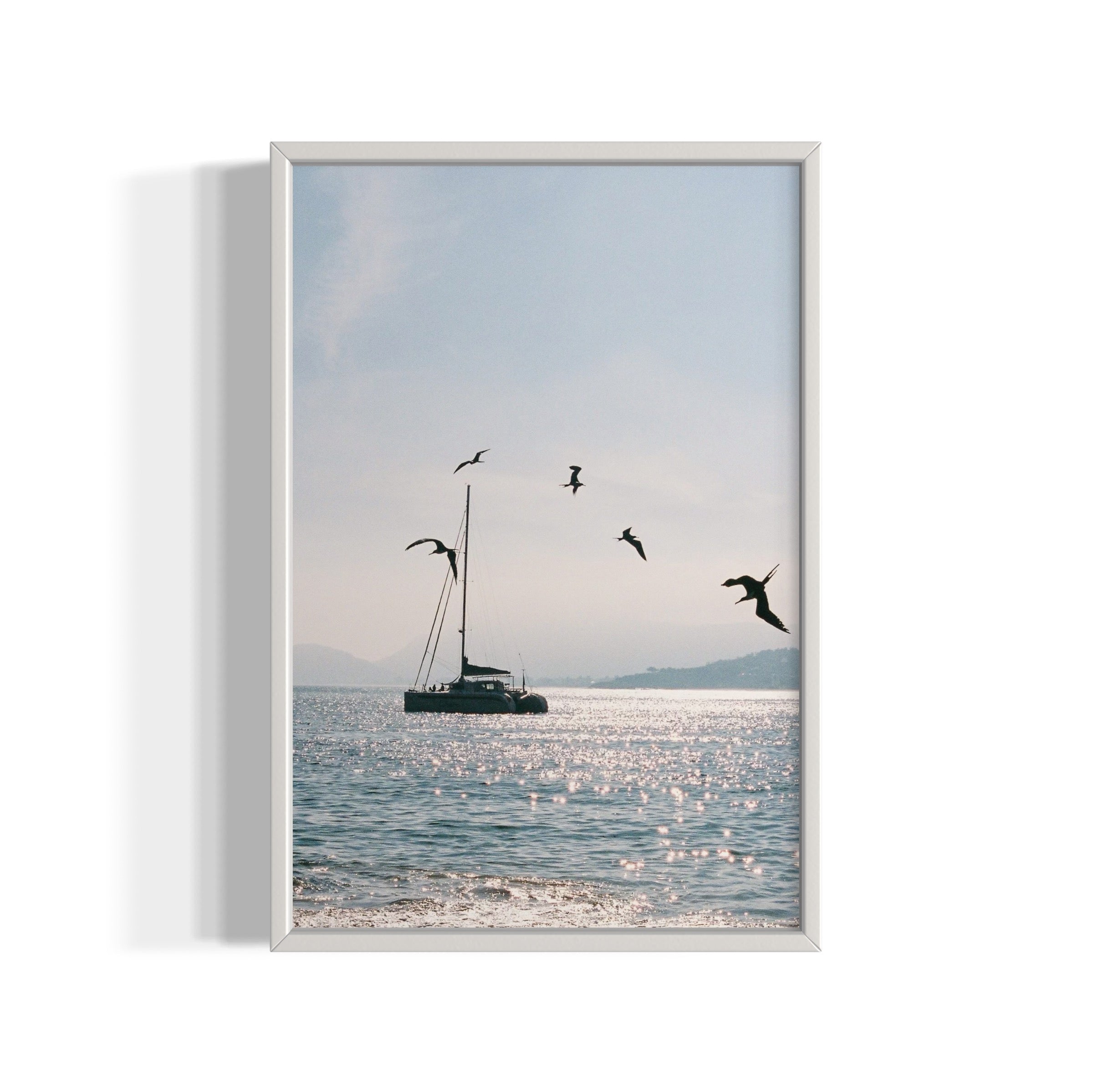 Morning Dive - Wall of Venus