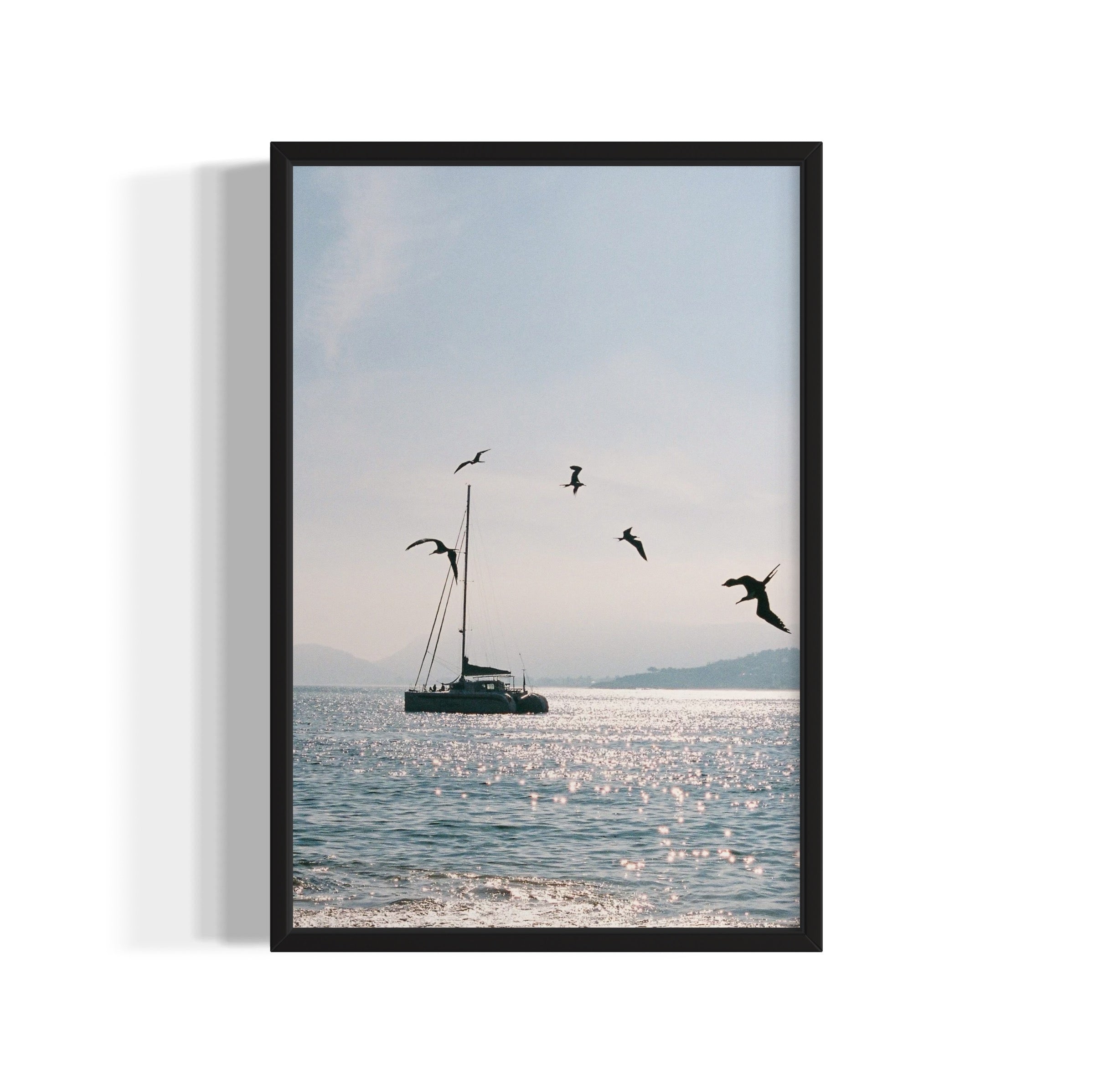 Morning Dive - Wall of Venus