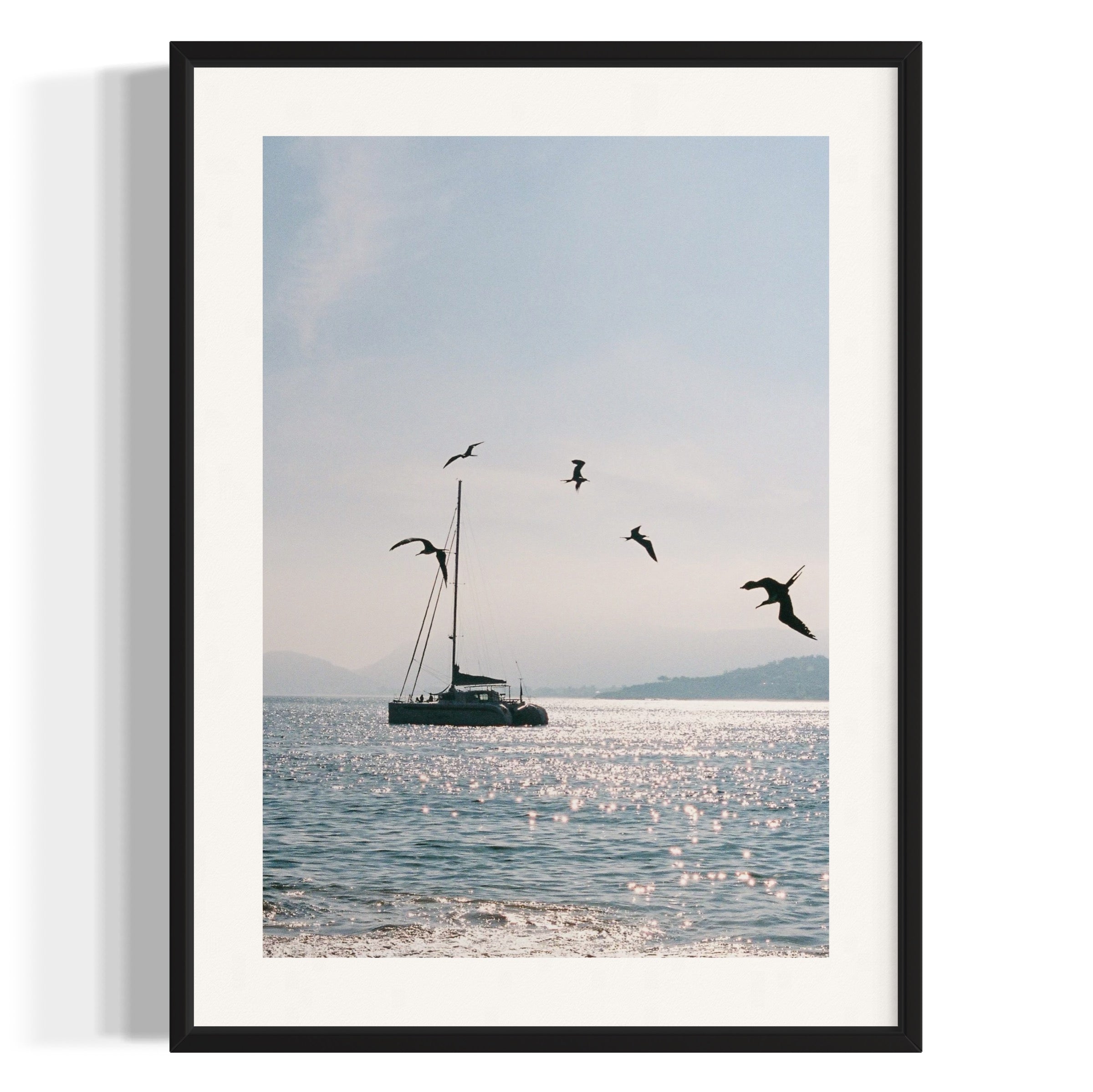 Morning Dive - Wall of Venus