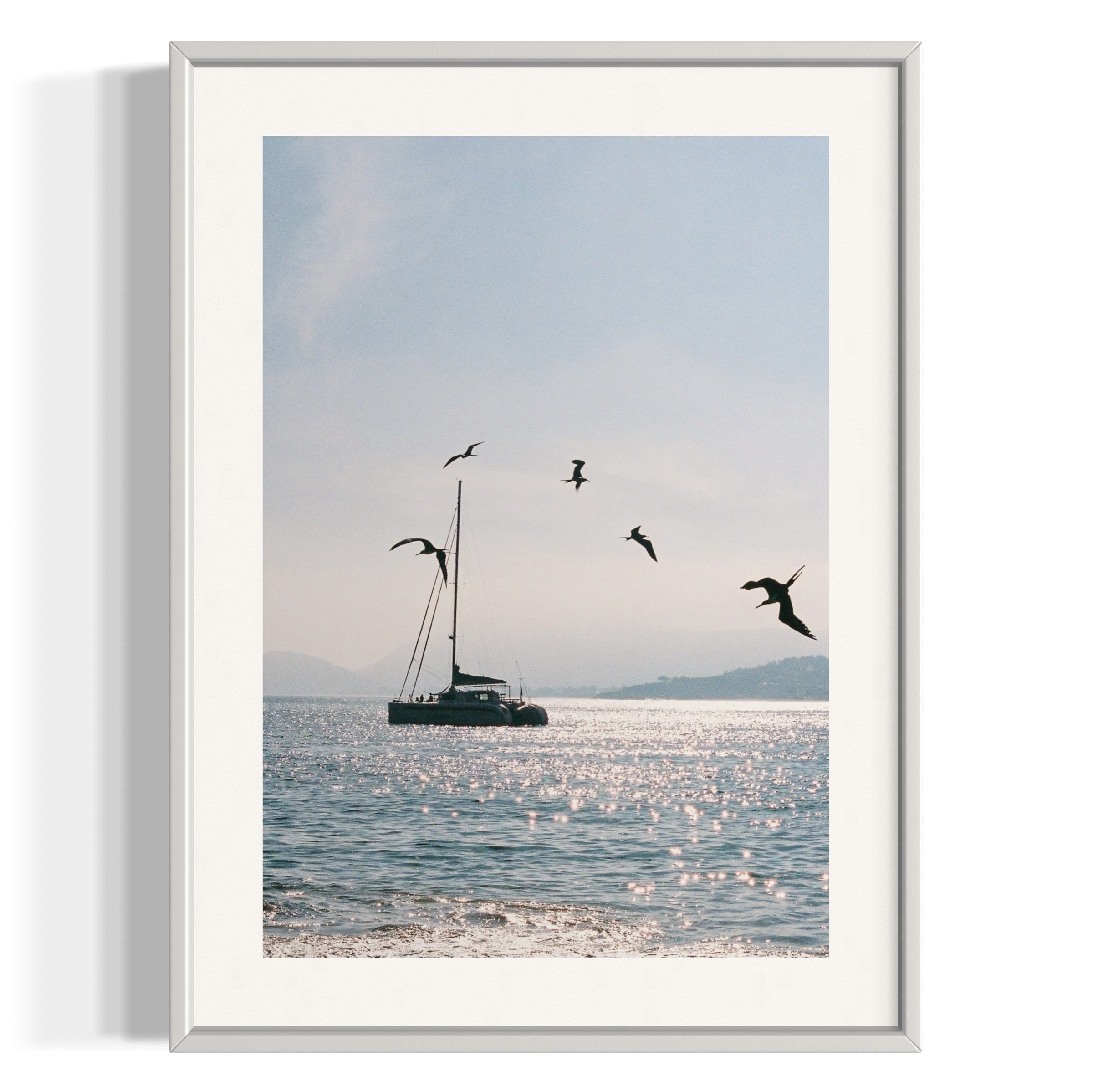 Morning Dive - Wall of Venus