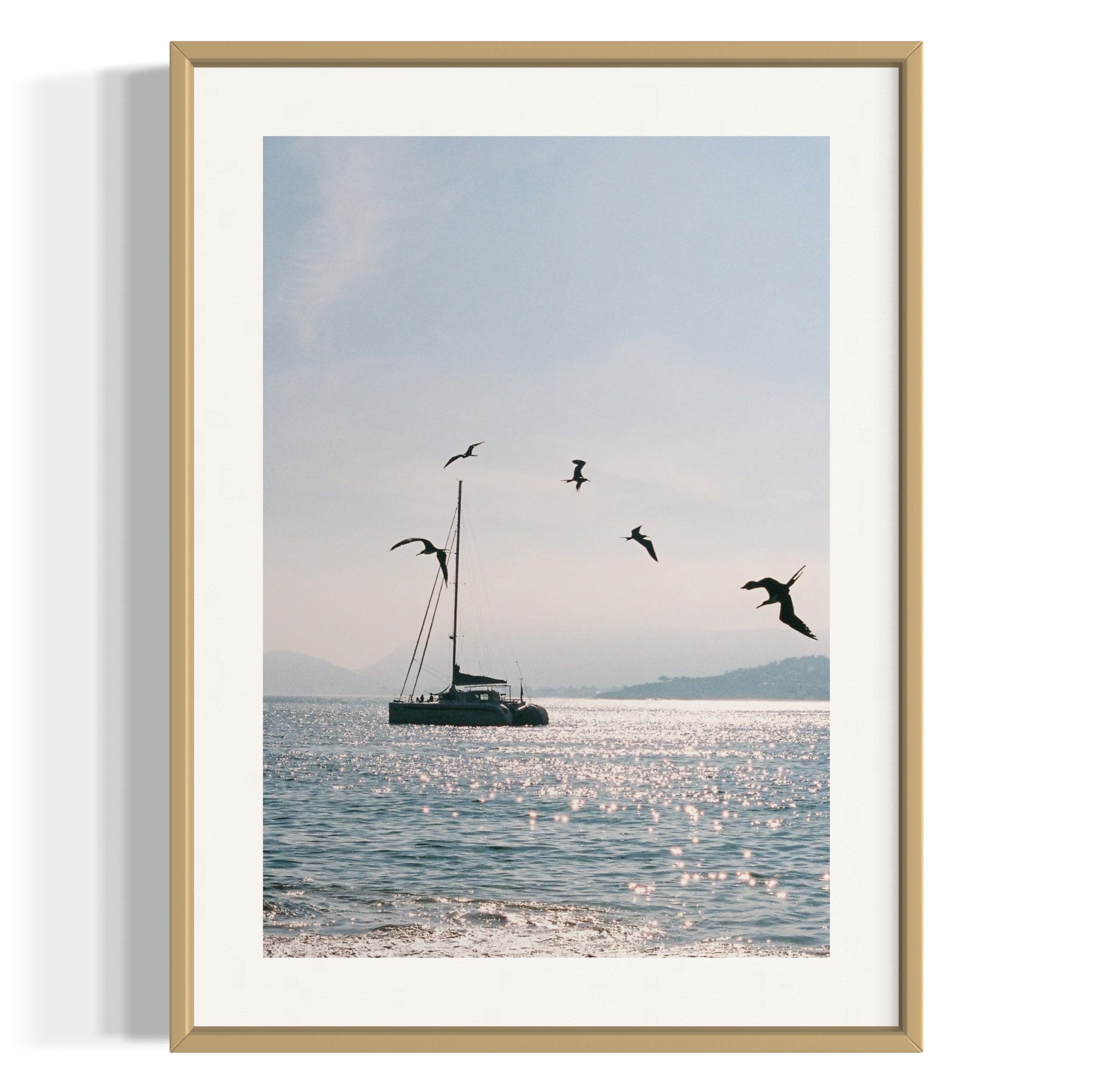 Morning Dive - Wall of Venus