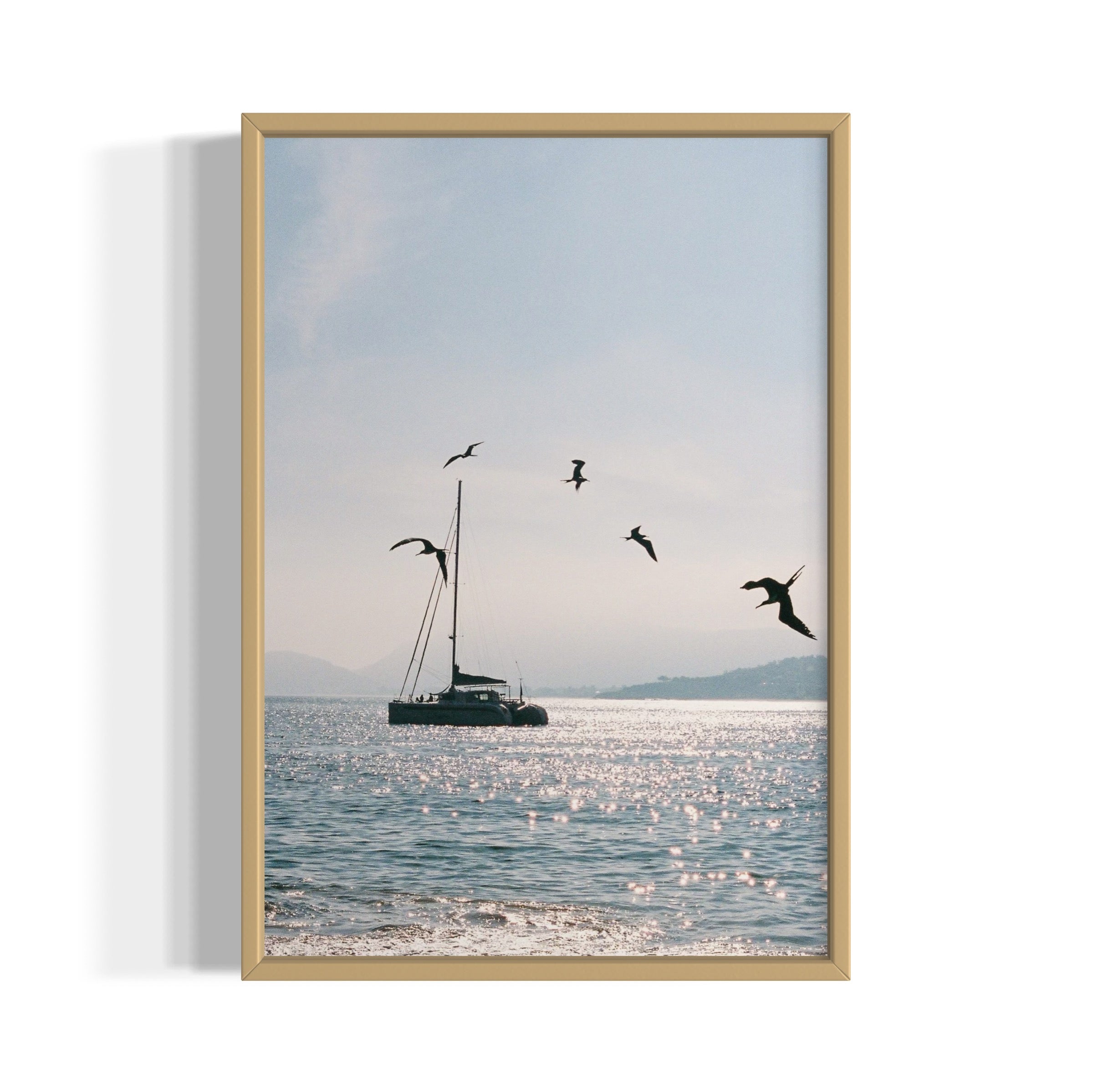 Morning Dive - Wall of Venus