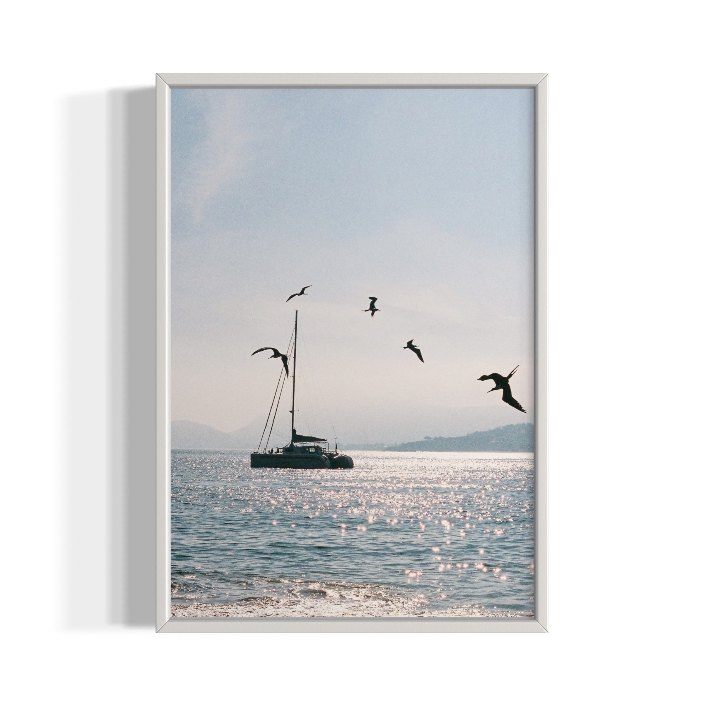 Morning Dive - Wall of Venus