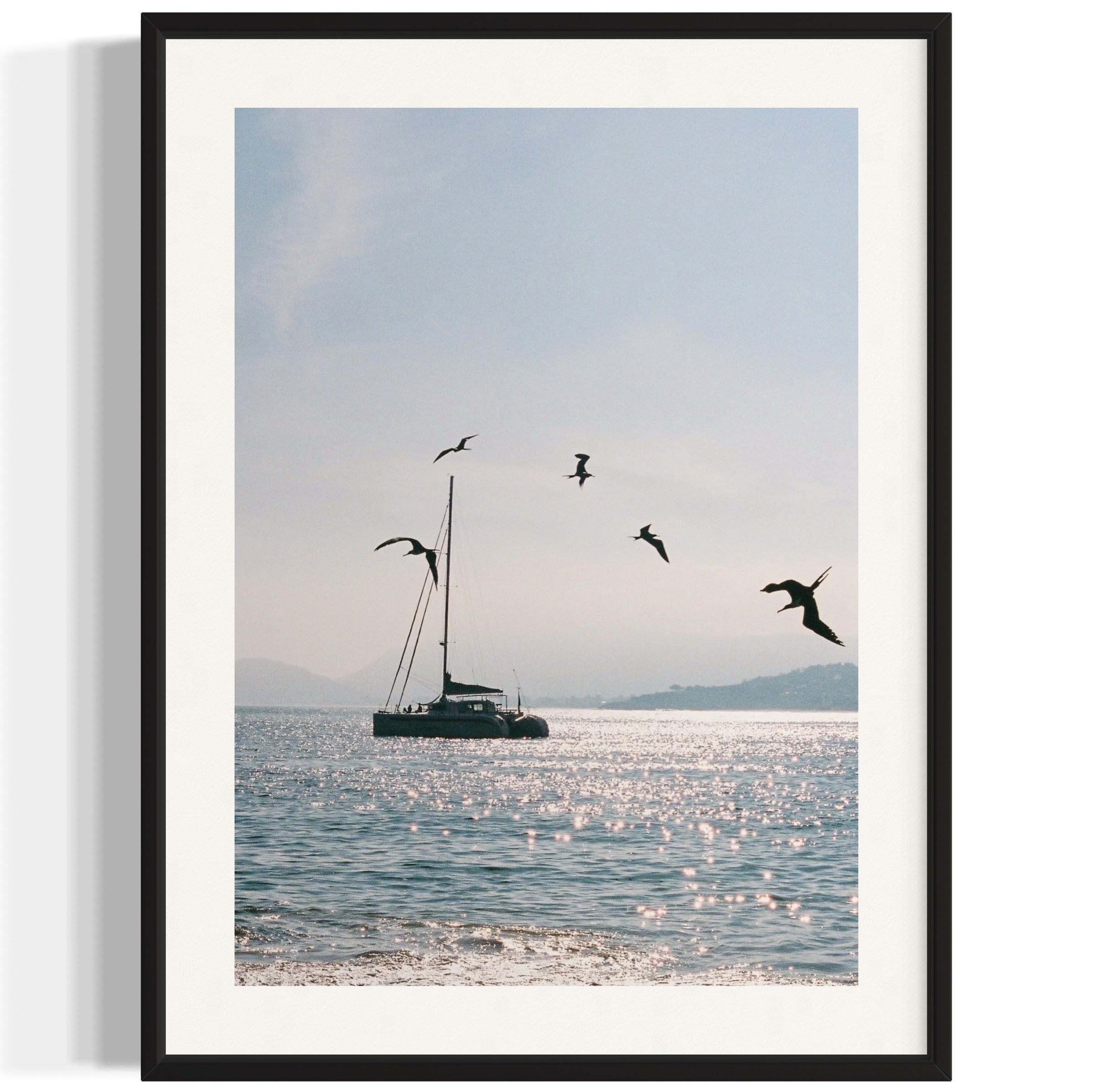 Morning Dive - Wall of Venus